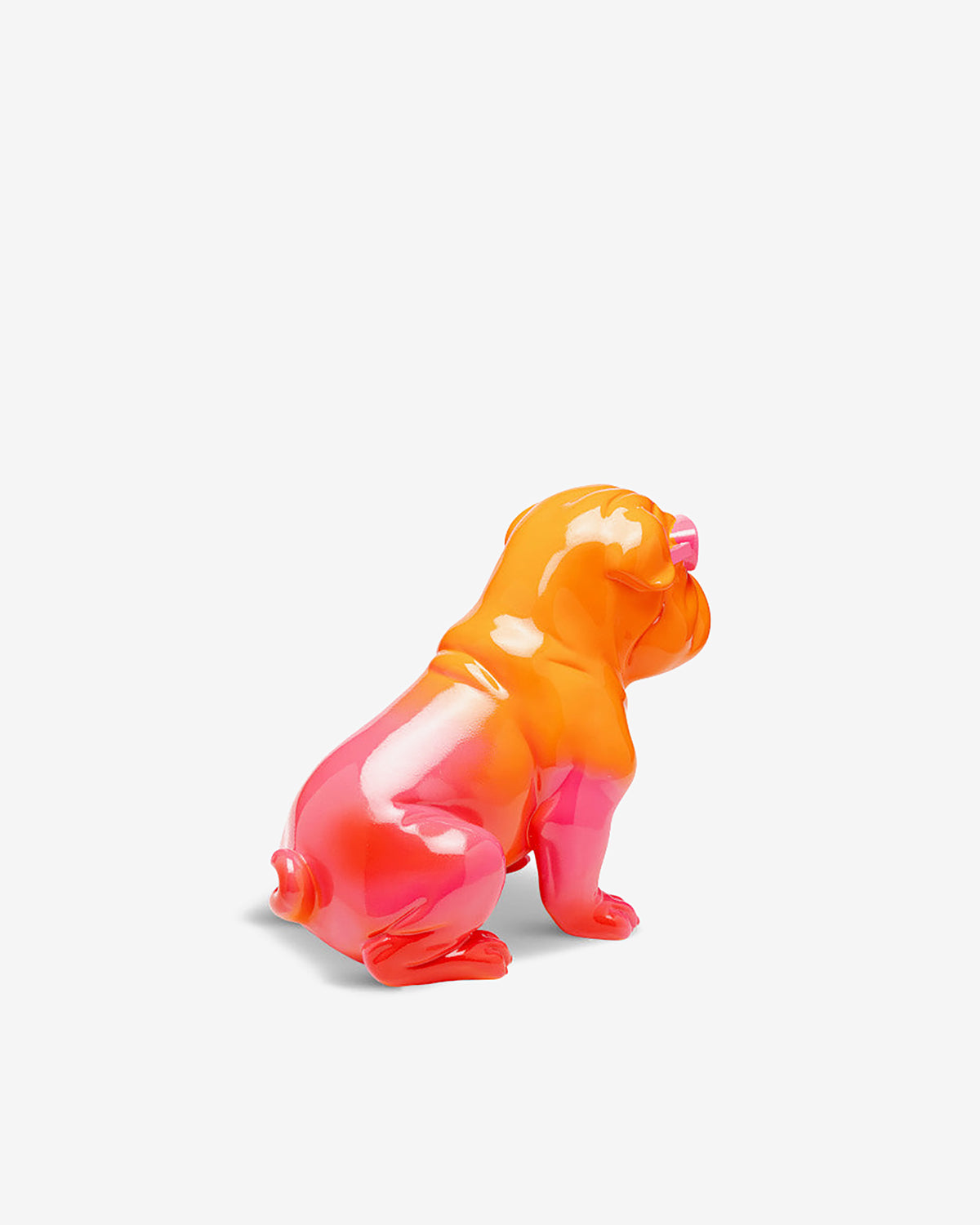 Fashion dog, orange