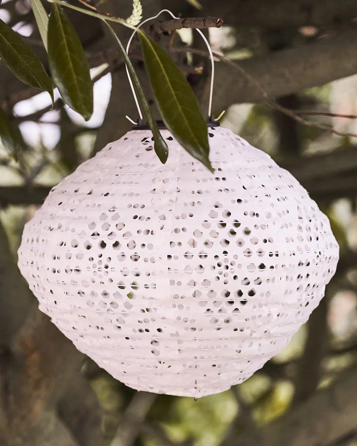 Harwood LED Lanterne