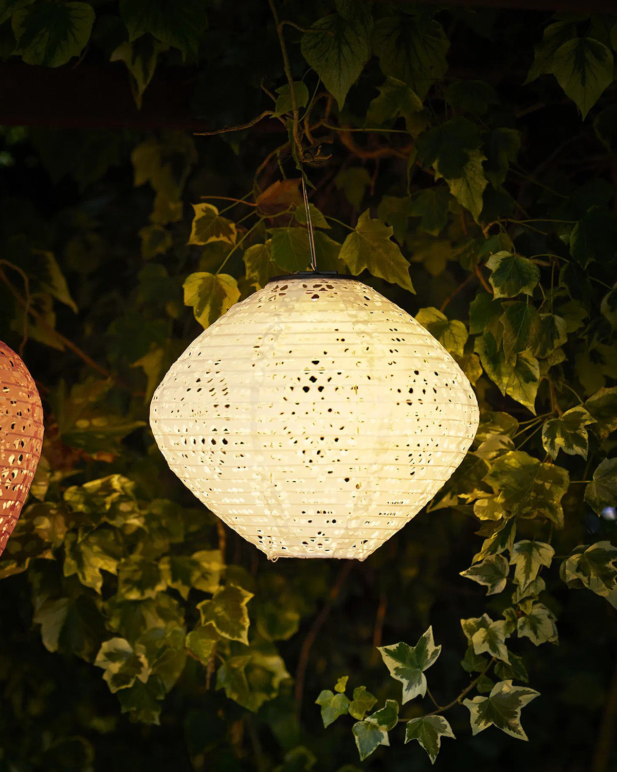 Harwood LED Lanterne