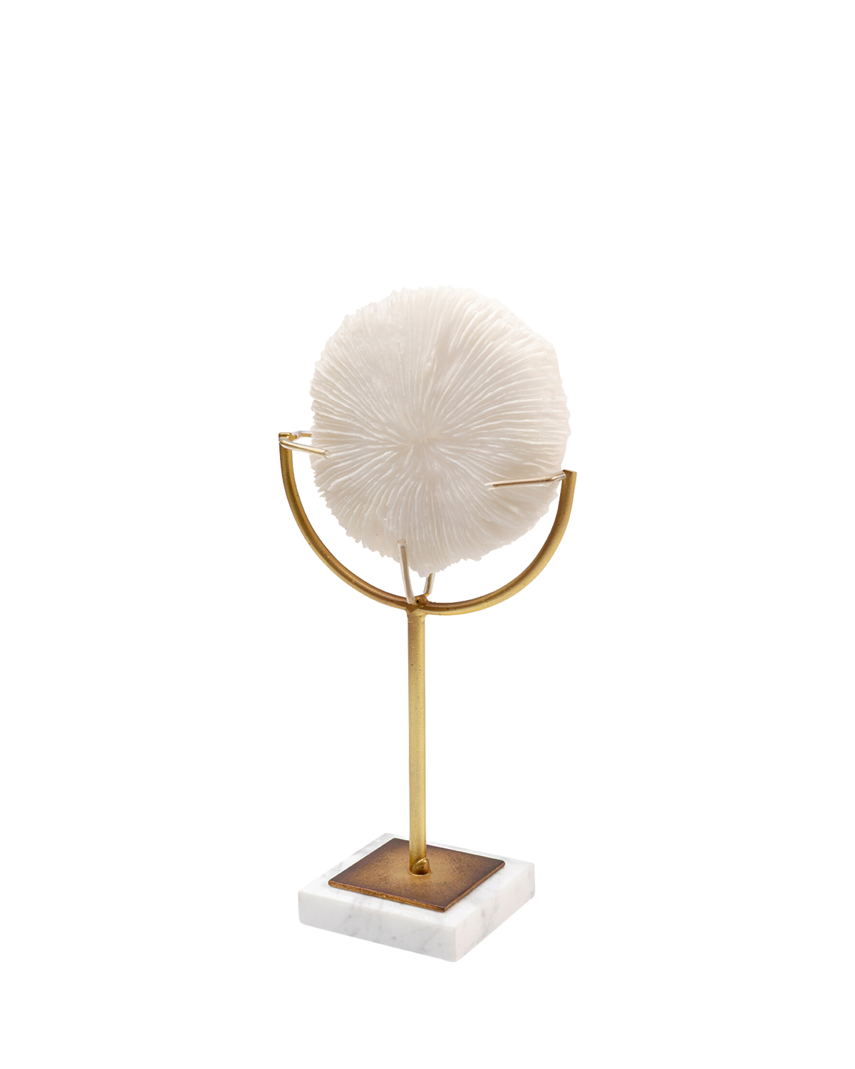 Deco Object Coral 29cm, Pynt