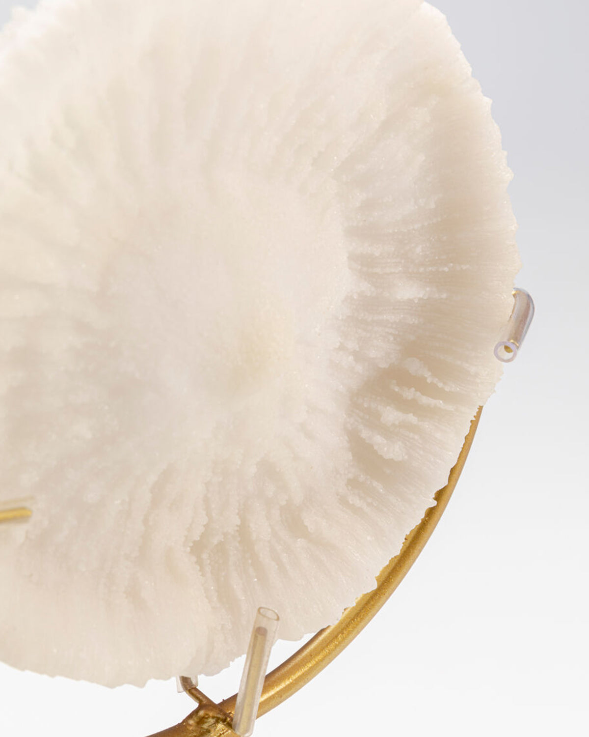 Deco Object Coral 29cm, Pynt