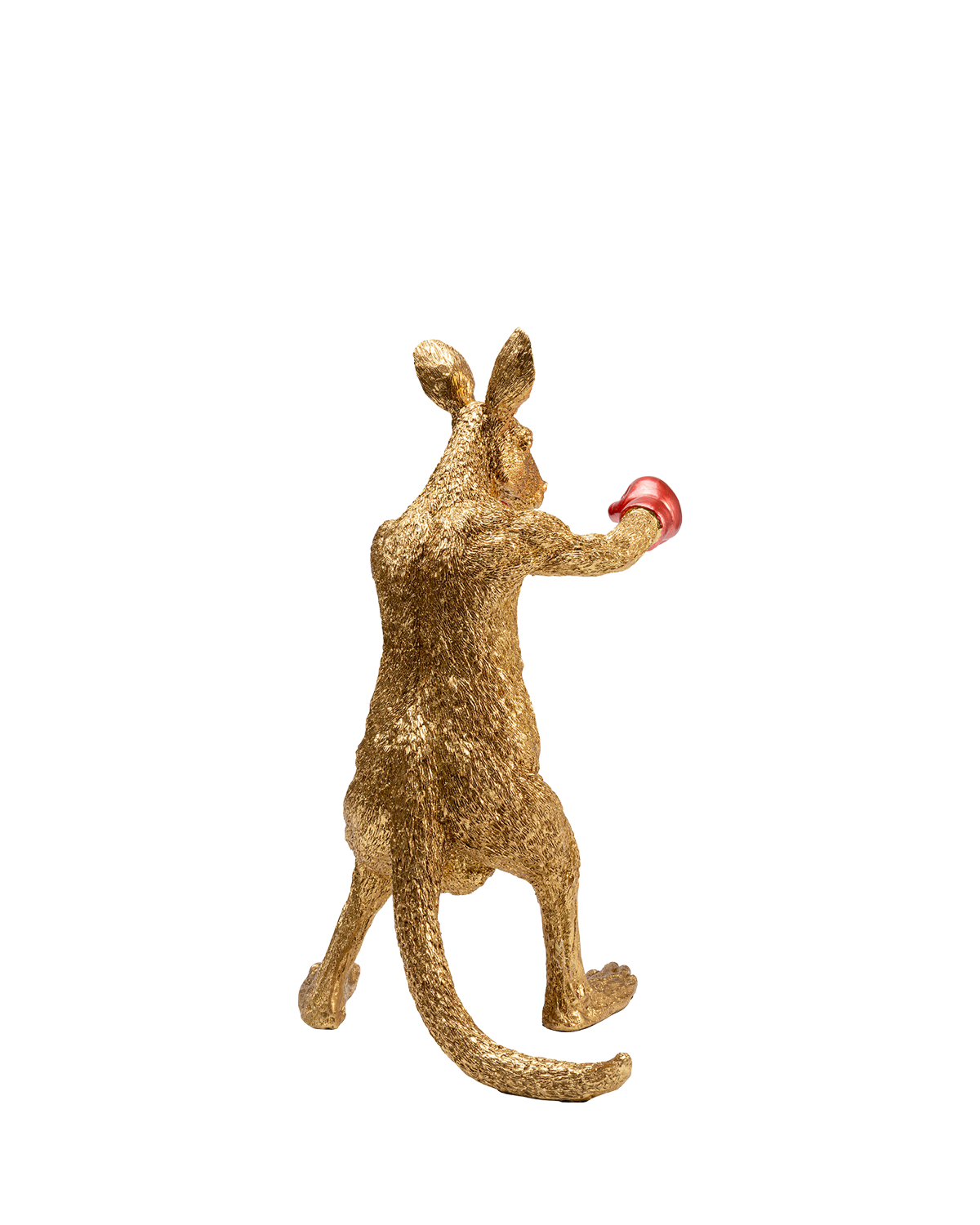 Kangaroo Boxer, Pynt