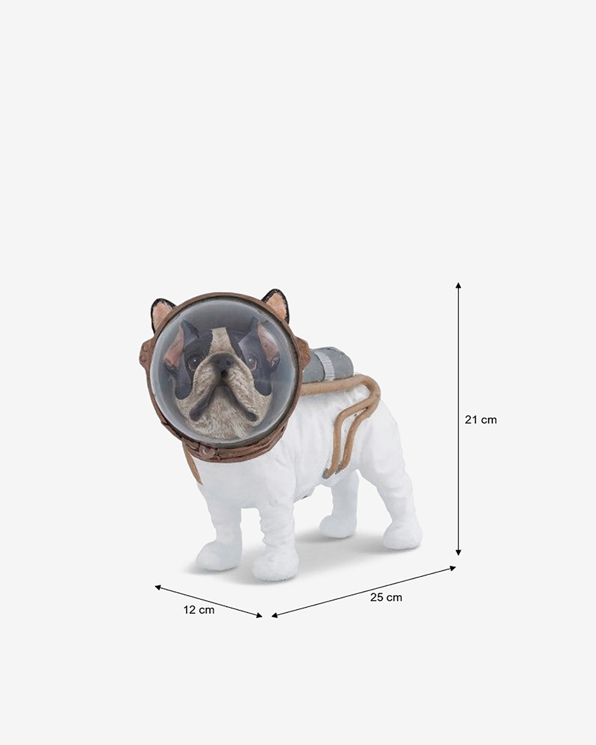 Astronaut hund