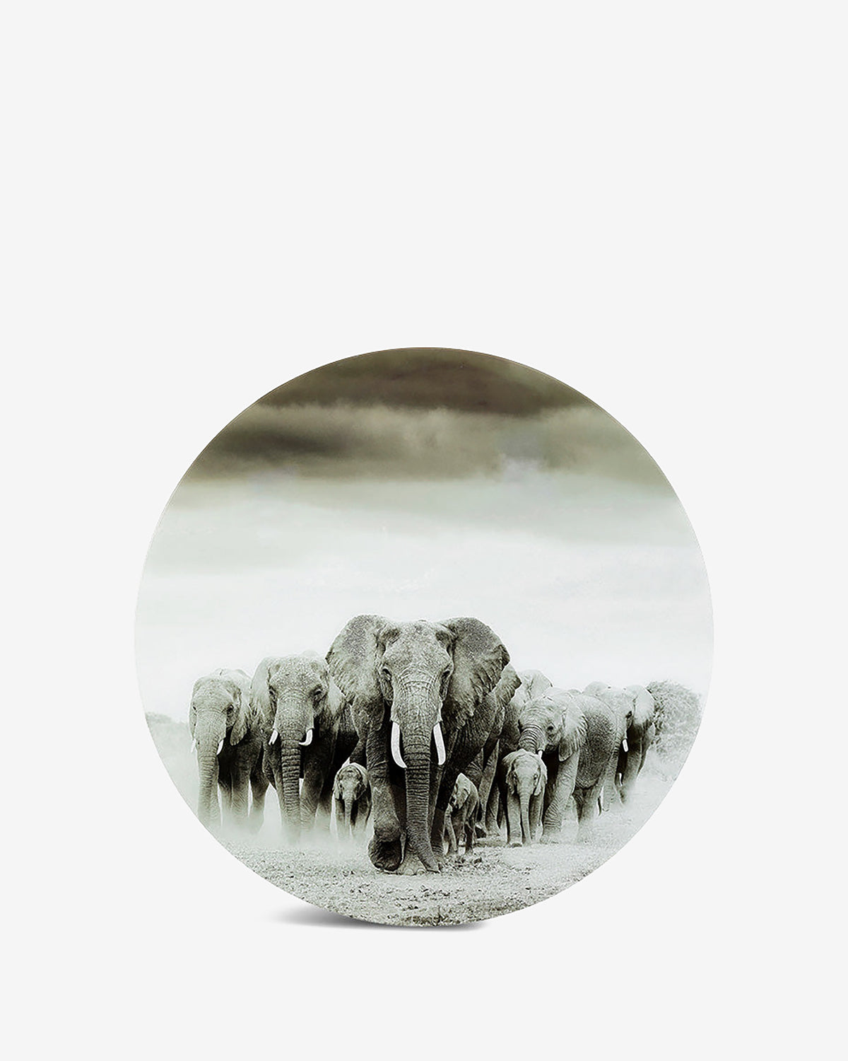 Elefant glas galleri, Ø.120 cm