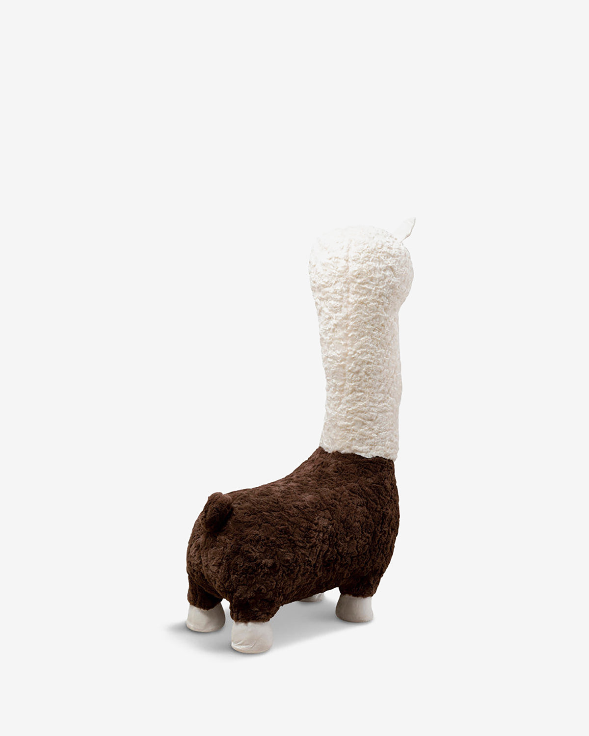 Alpaca