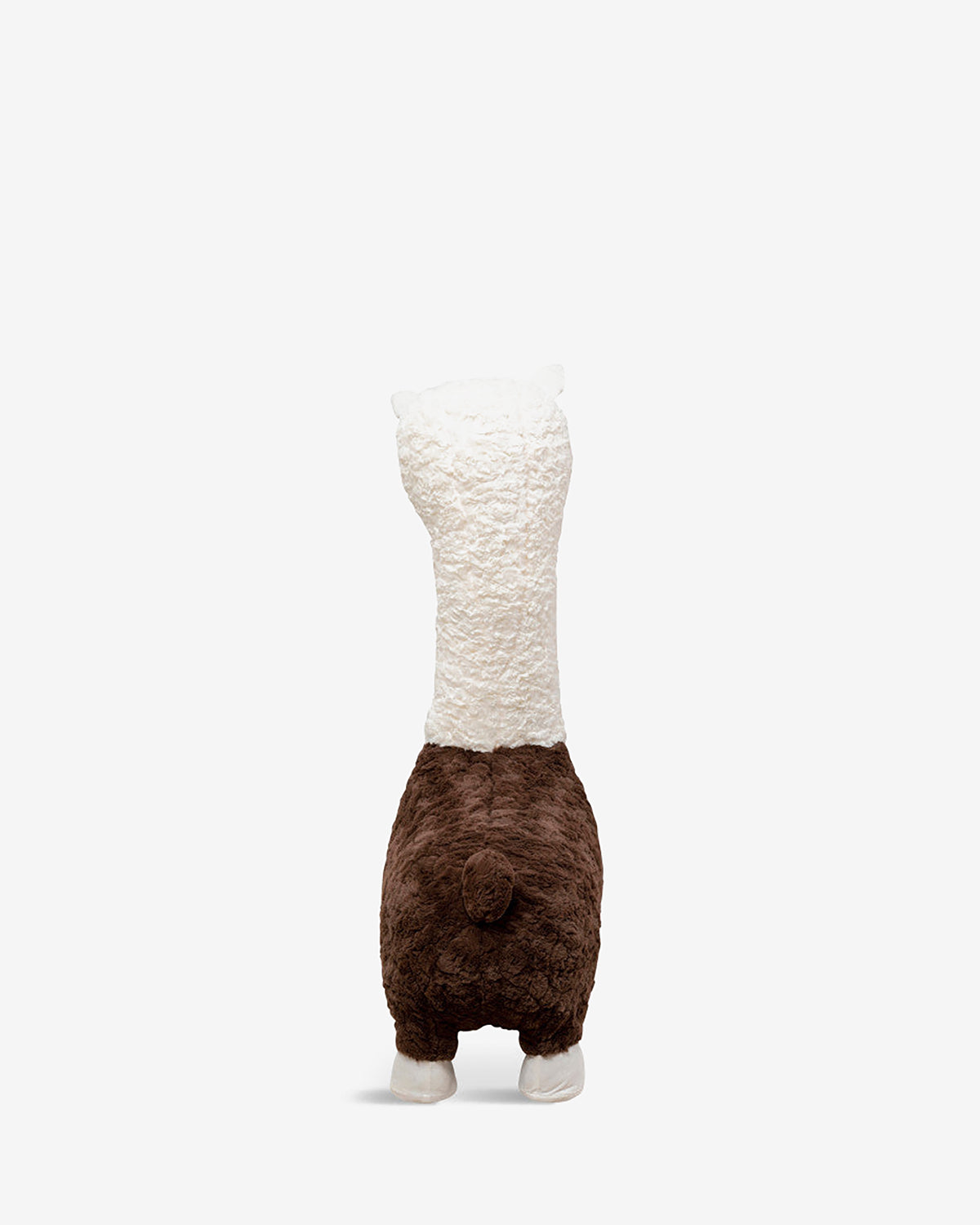 Alpaca