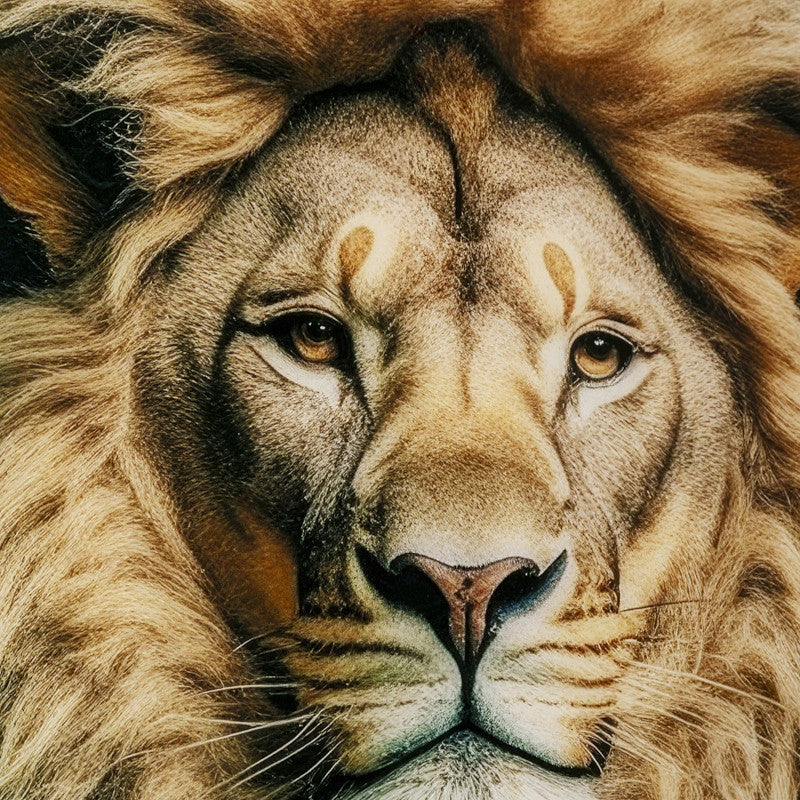 Mister lion glas galleri