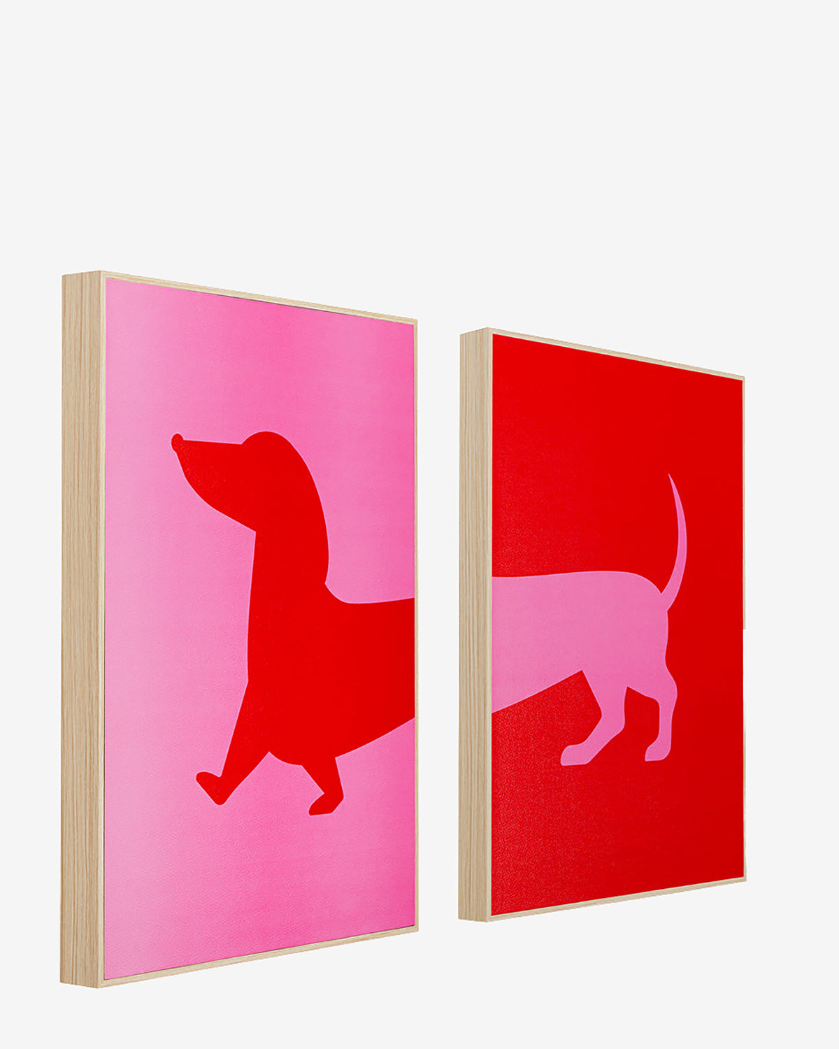 Frankie front and back galleri