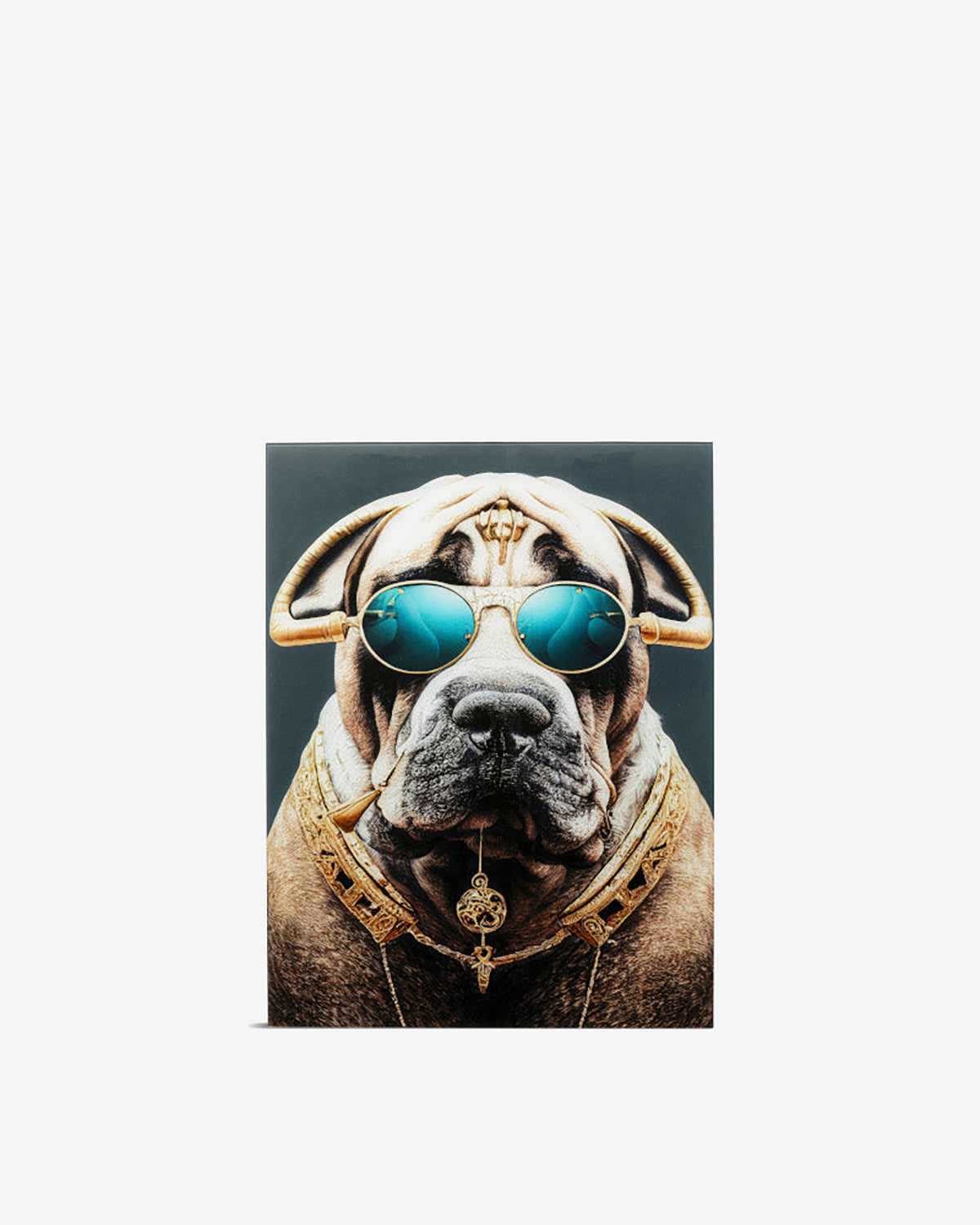 Fashion dog glas galleri