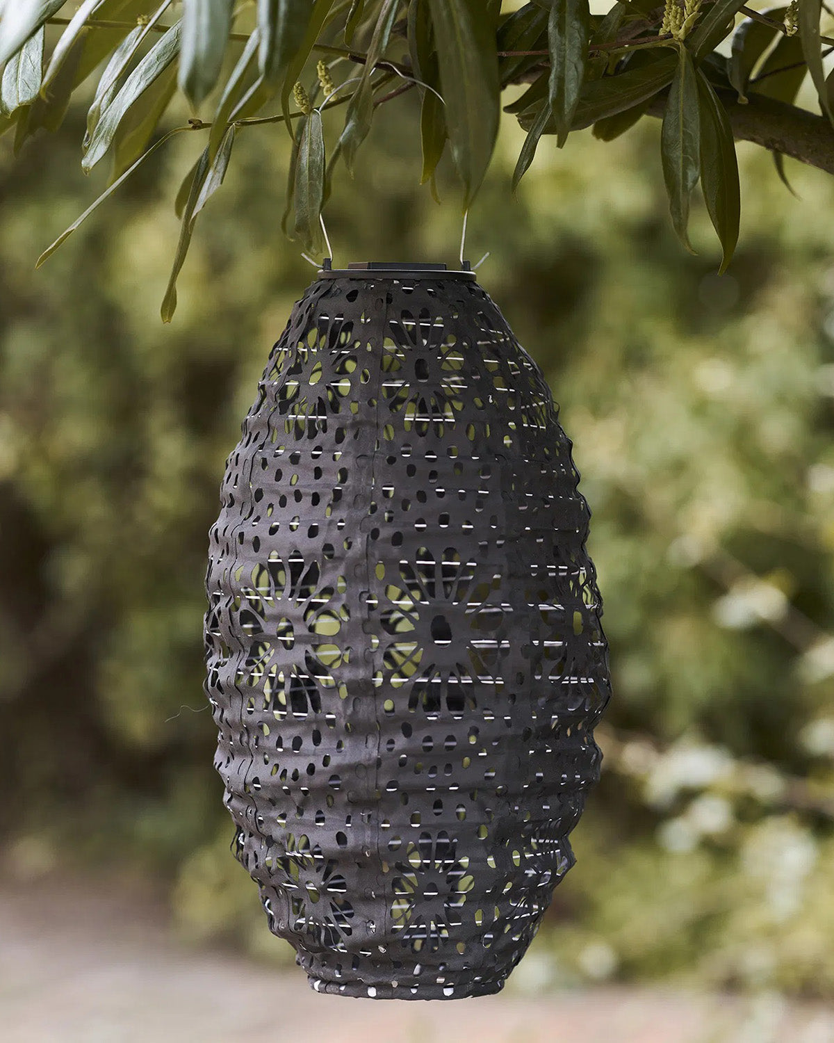 Foxdale LED Lanterne