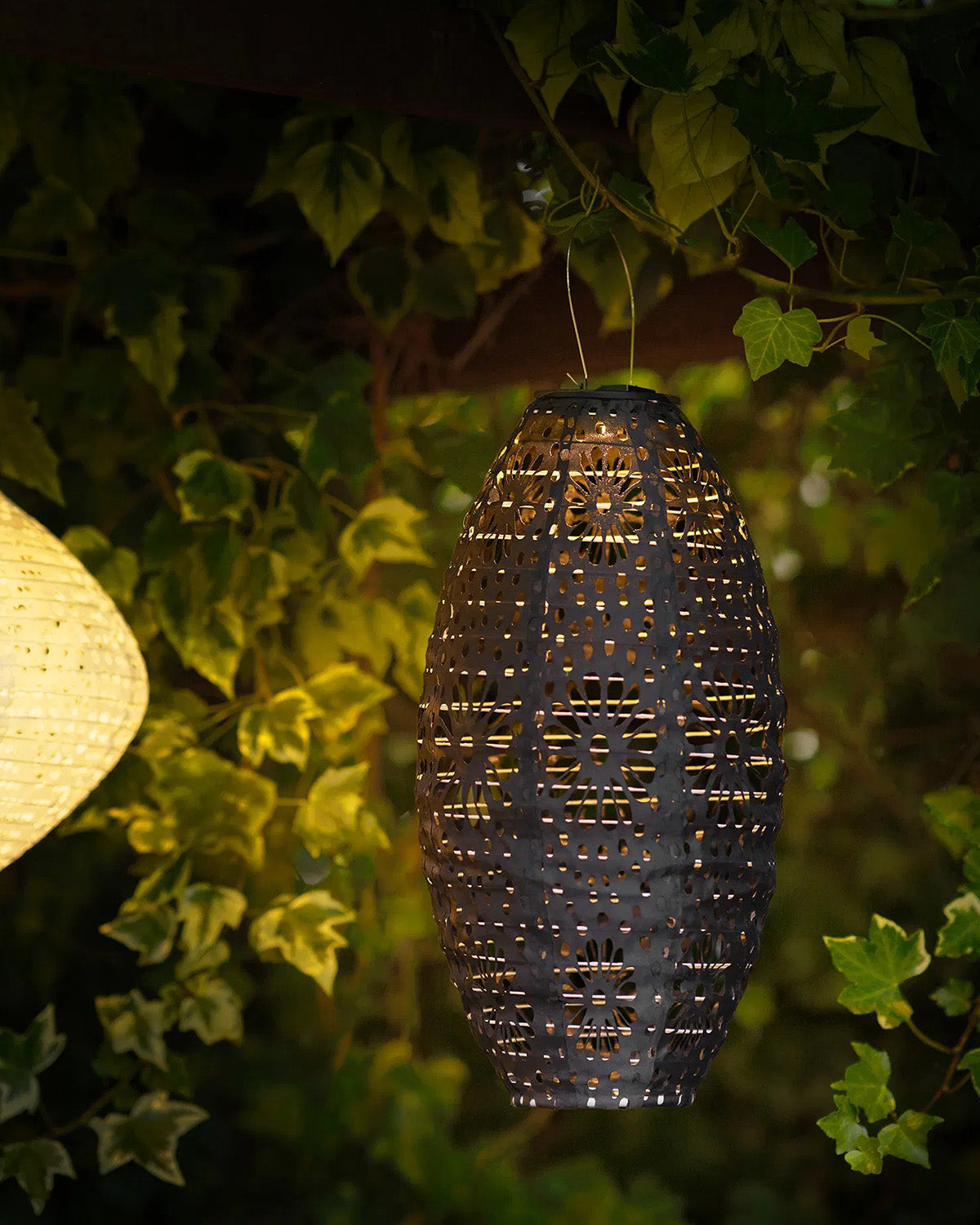 Foxdale LED Lanterne