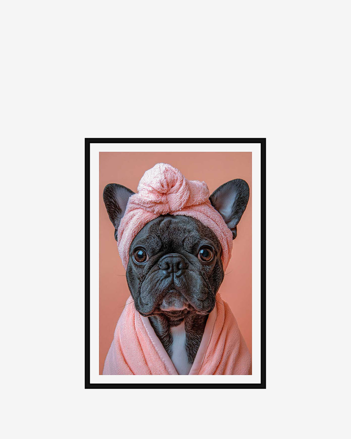 Fransk bulldog - Fresh out of shower galleri