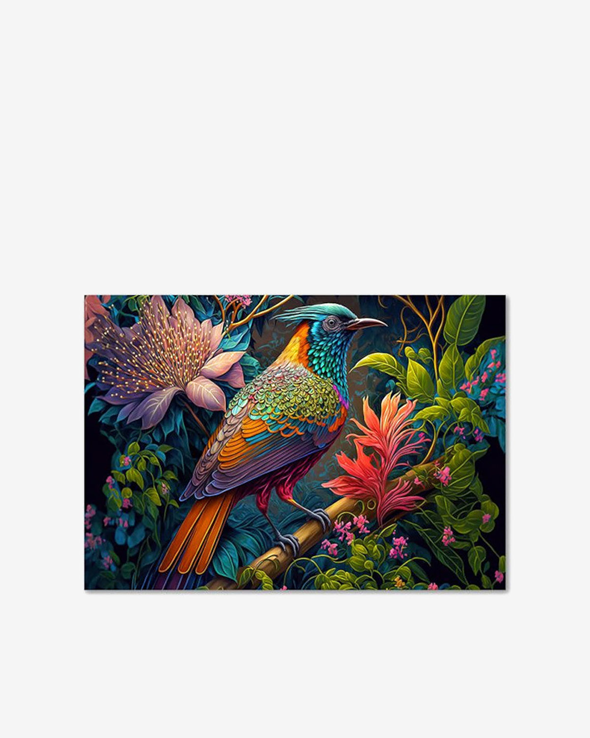 Paradise bird galleri