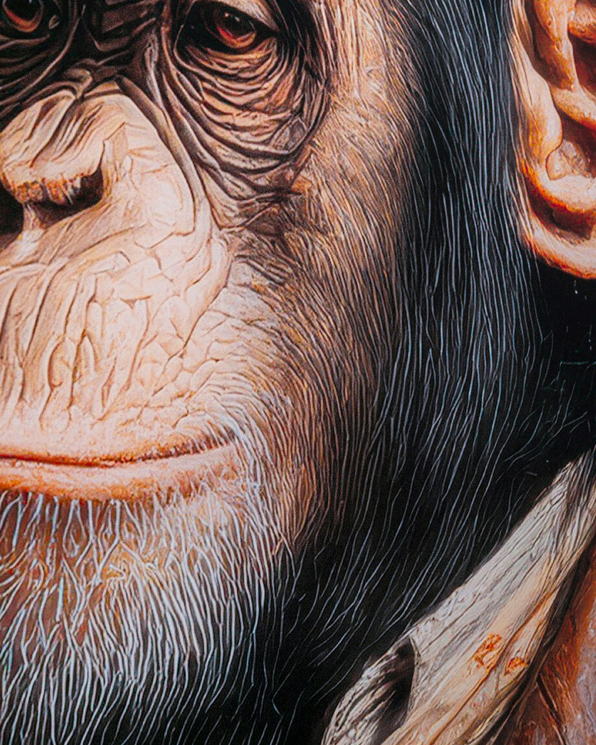 Mister Animal Whisky 80x120cm, Galleri