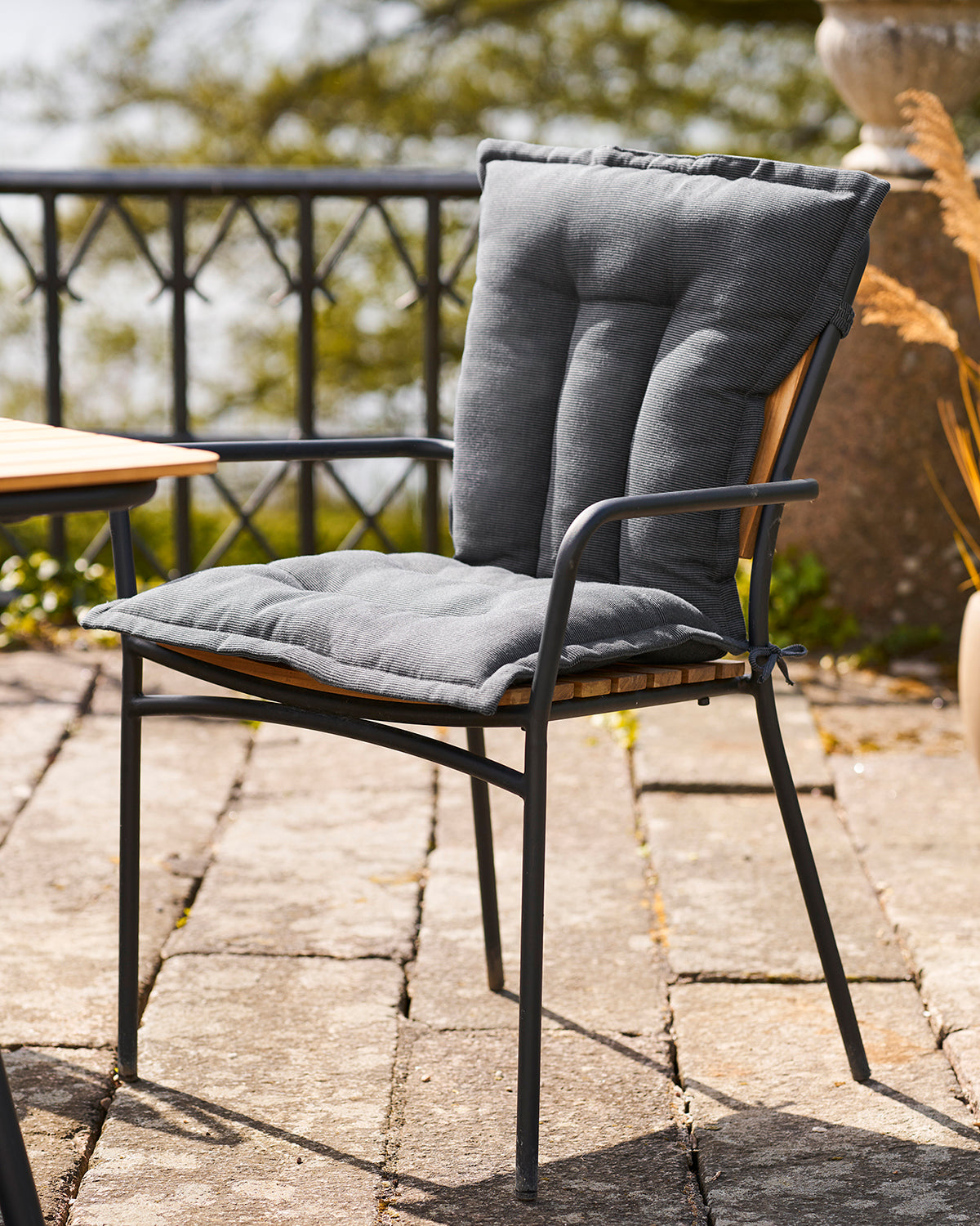 Cleveland hynde, sort