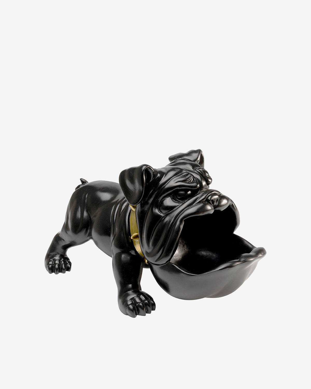 Hungry dog, sort