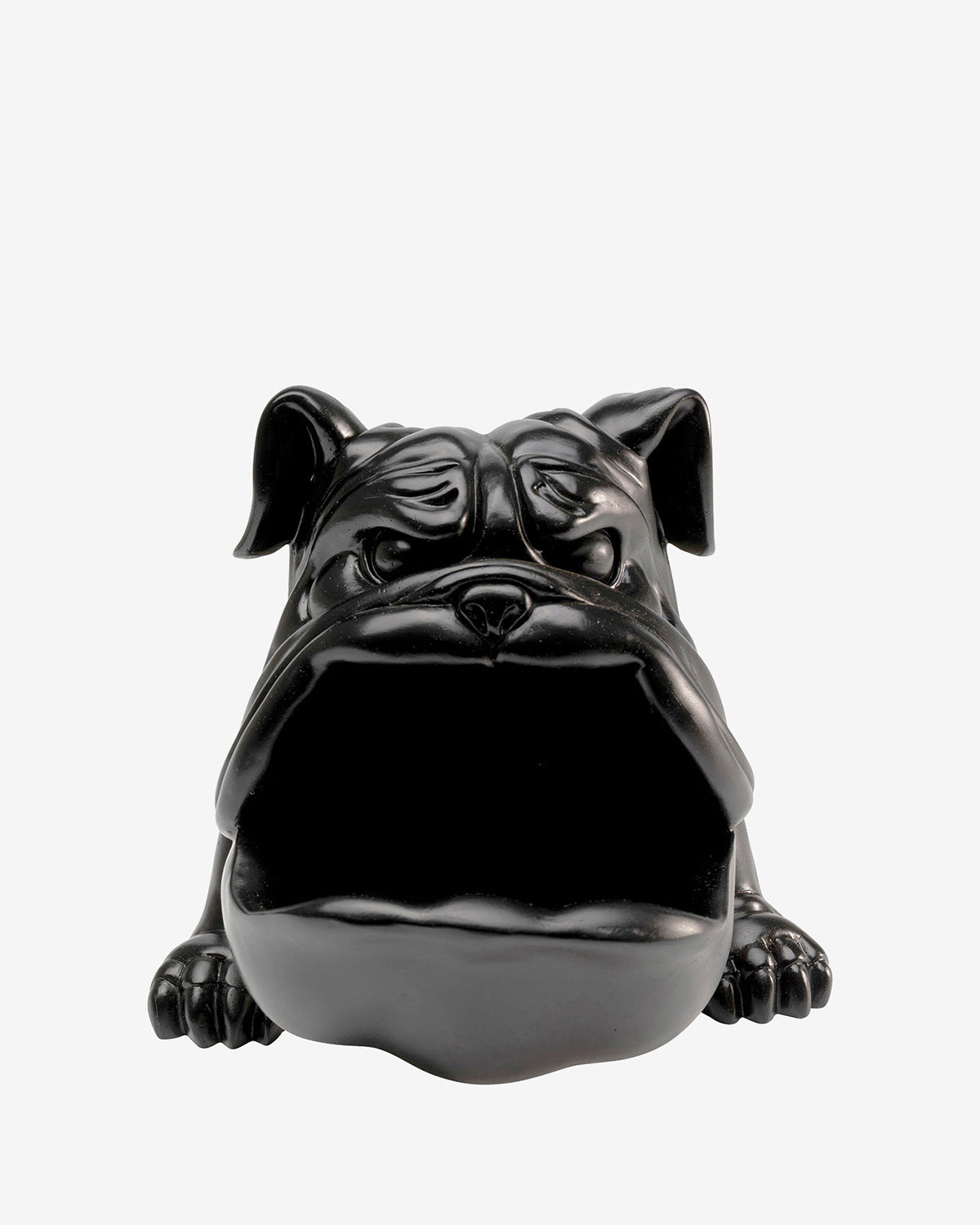 Hungry dog, sort