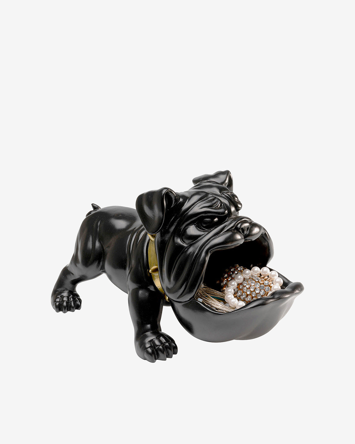 Hungry dog, sort
