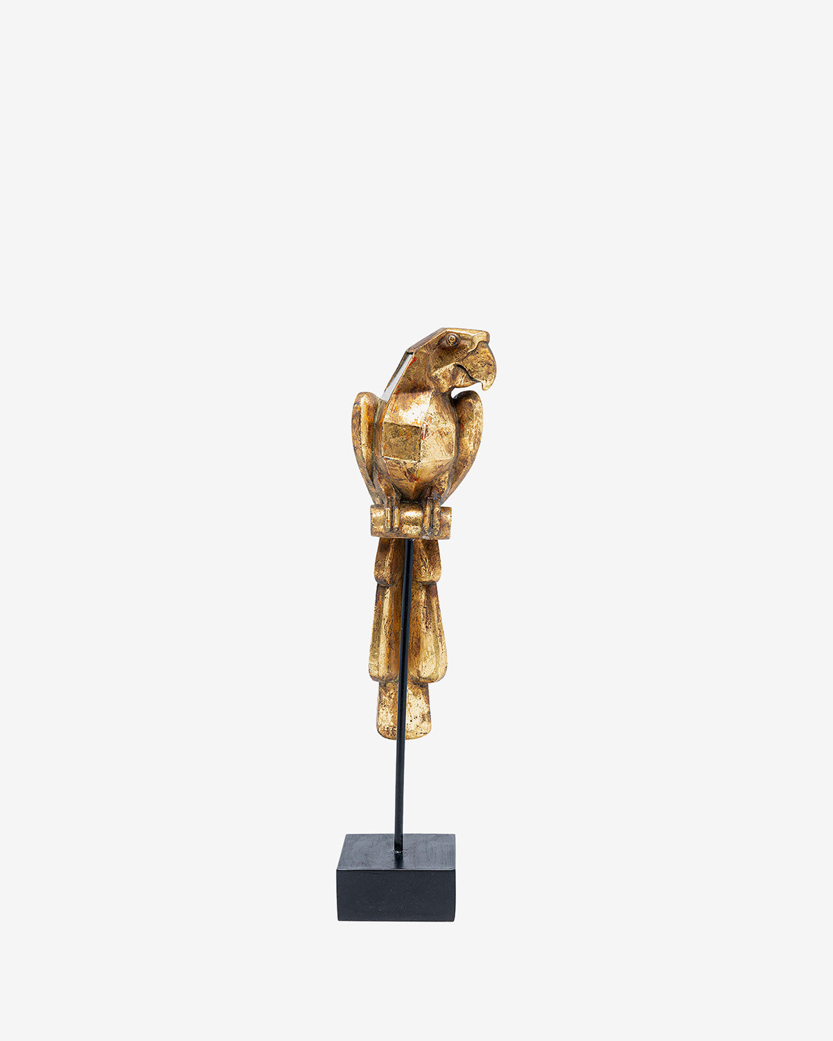 Papegøje spejl figur