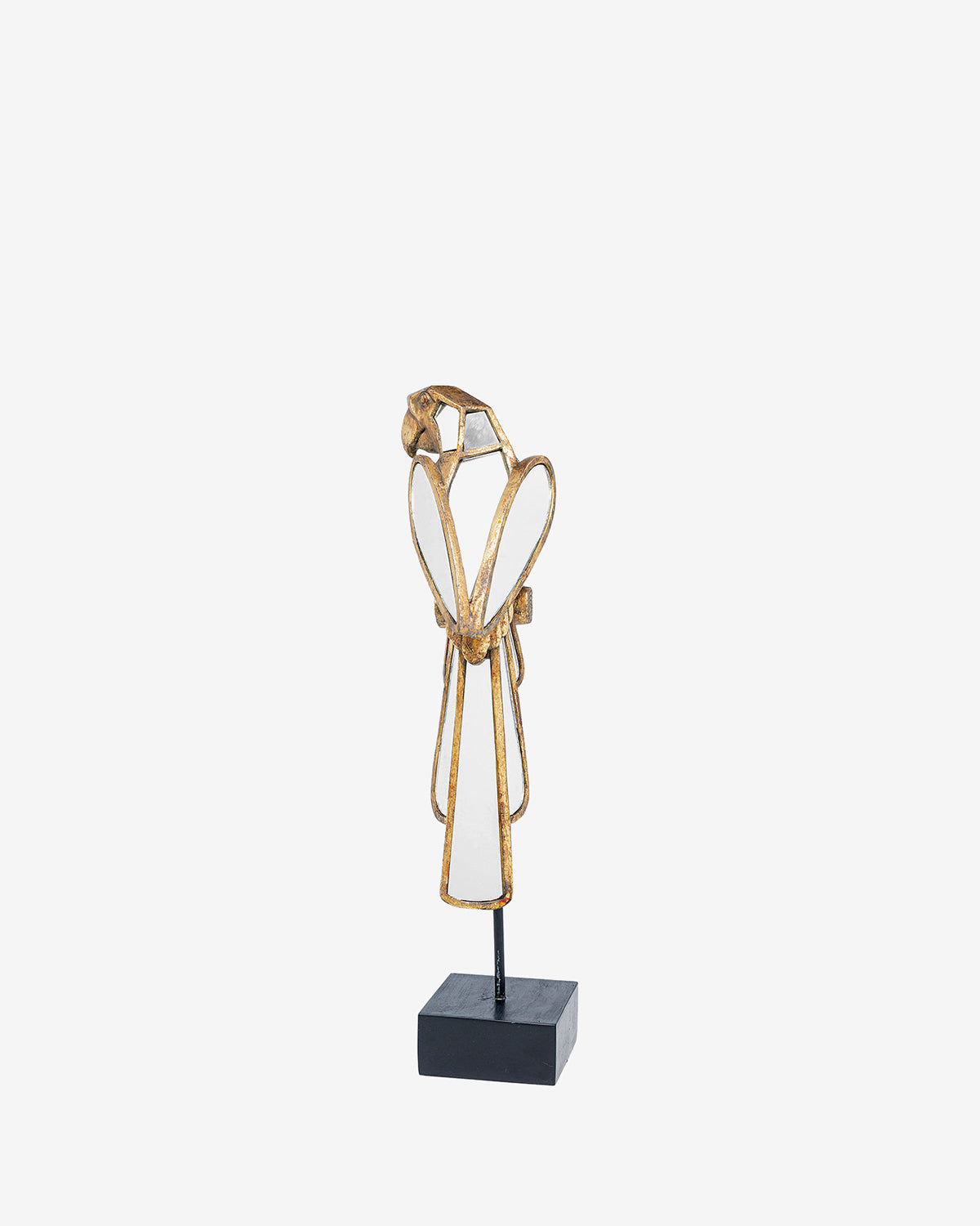 Papegøje spejl figur