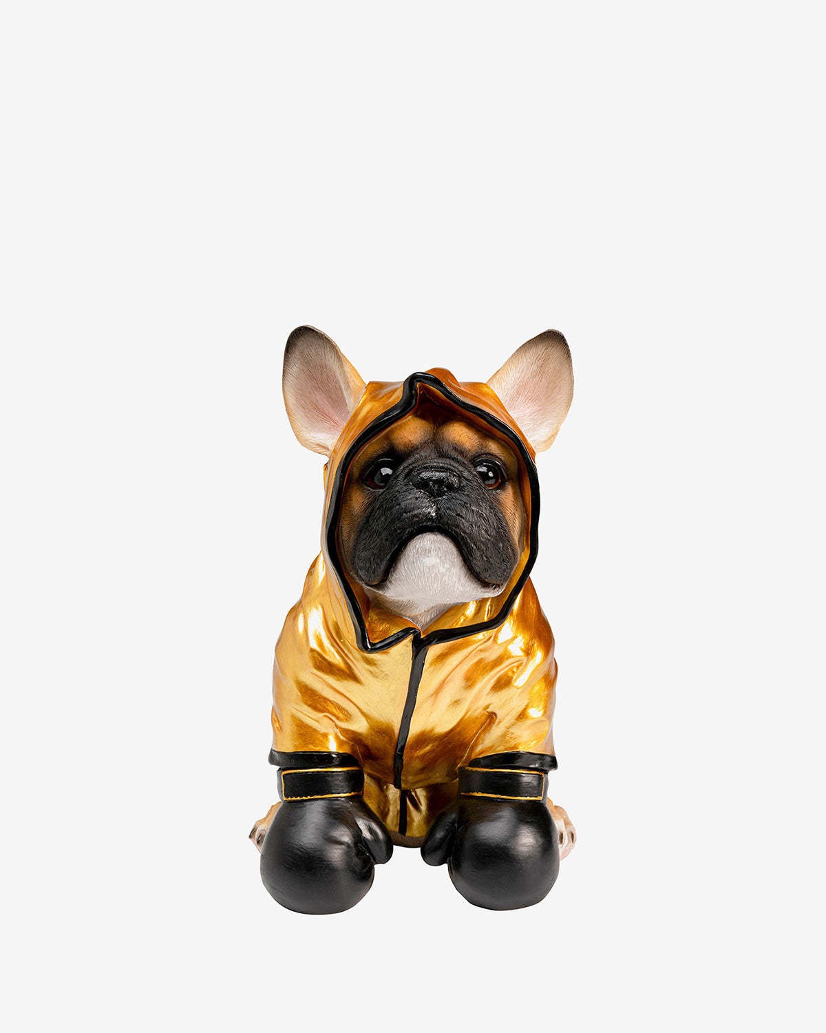 Boxing dog sparegris