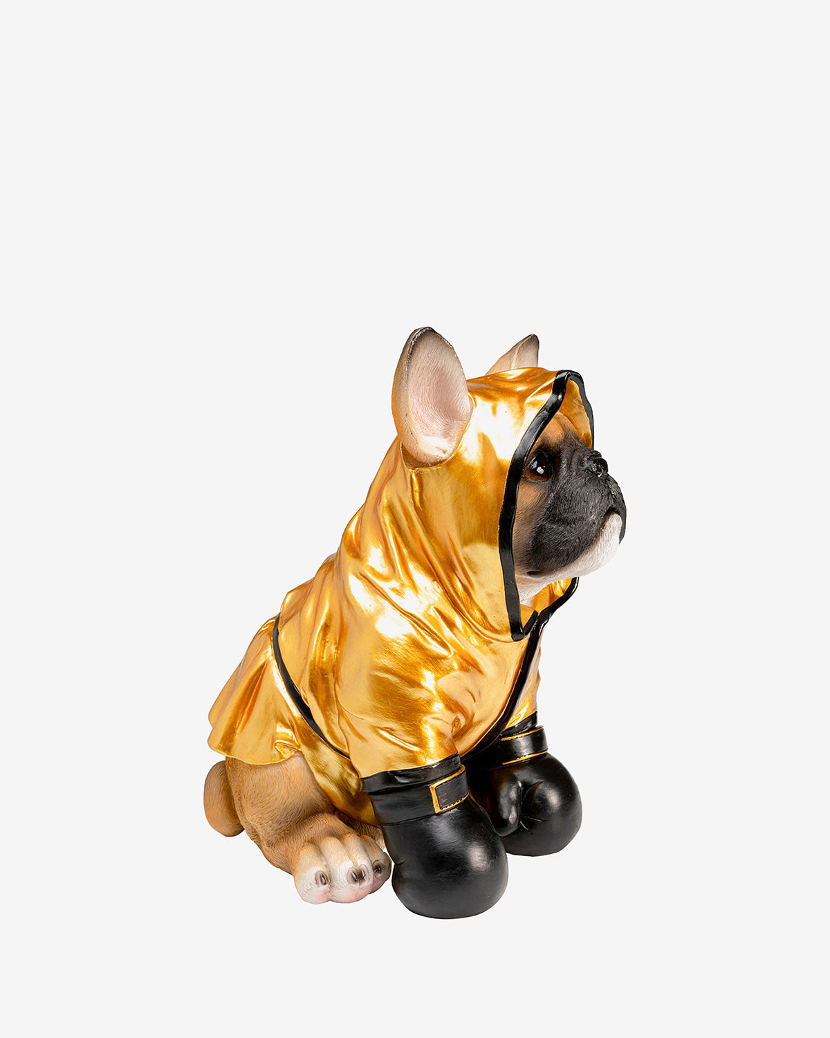 Boxing dog sparegris