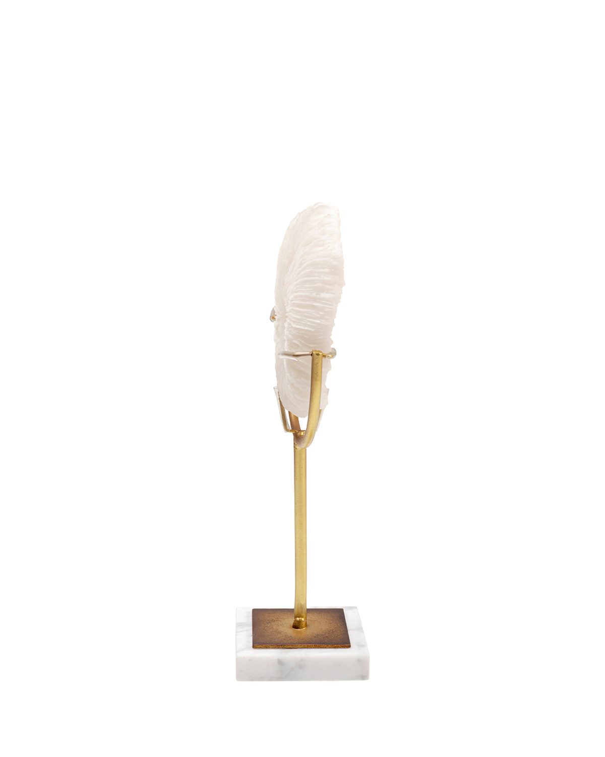 Deco Object Coral 29cm, Pynt