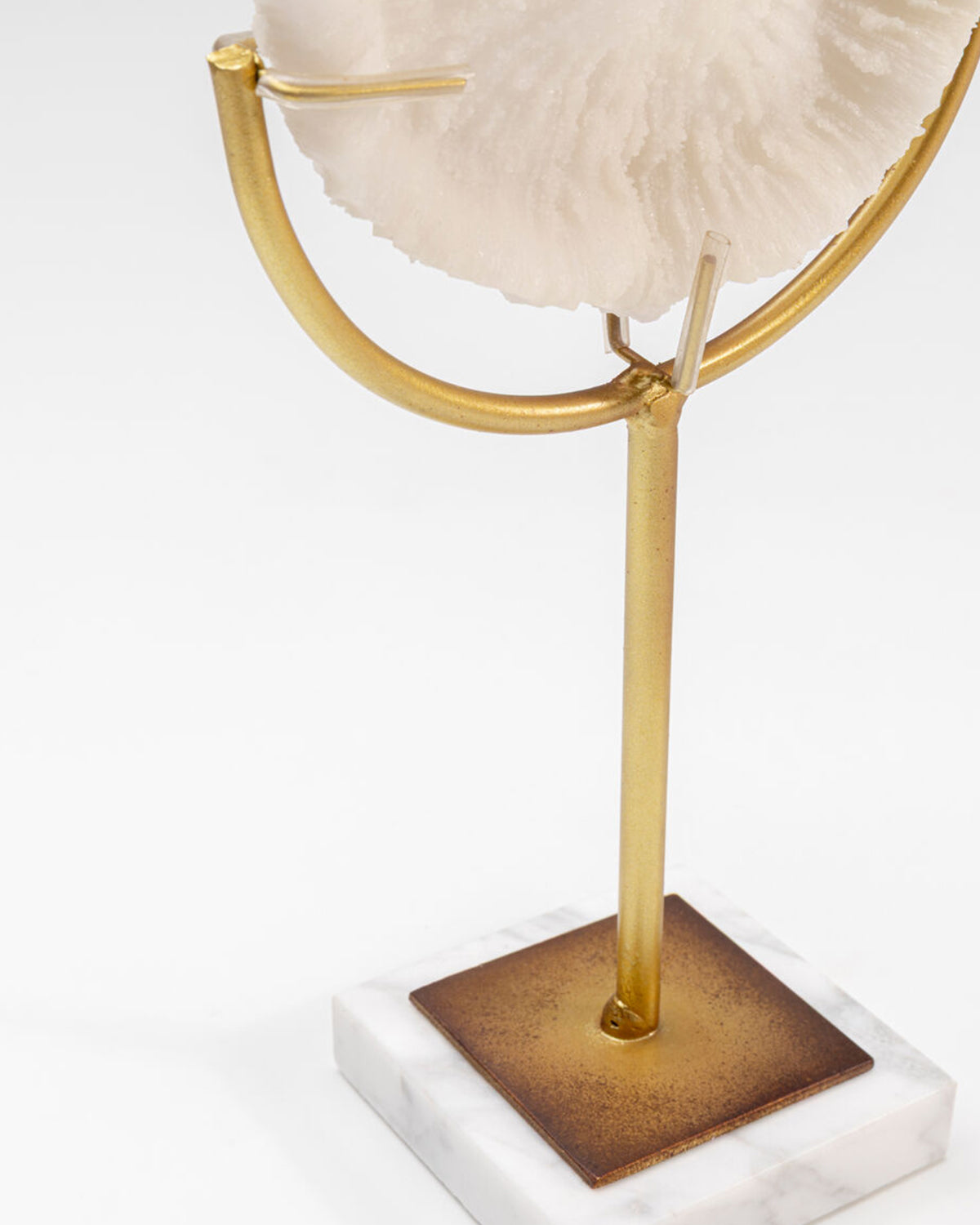 Deco Object Coral 29cm, Pynt