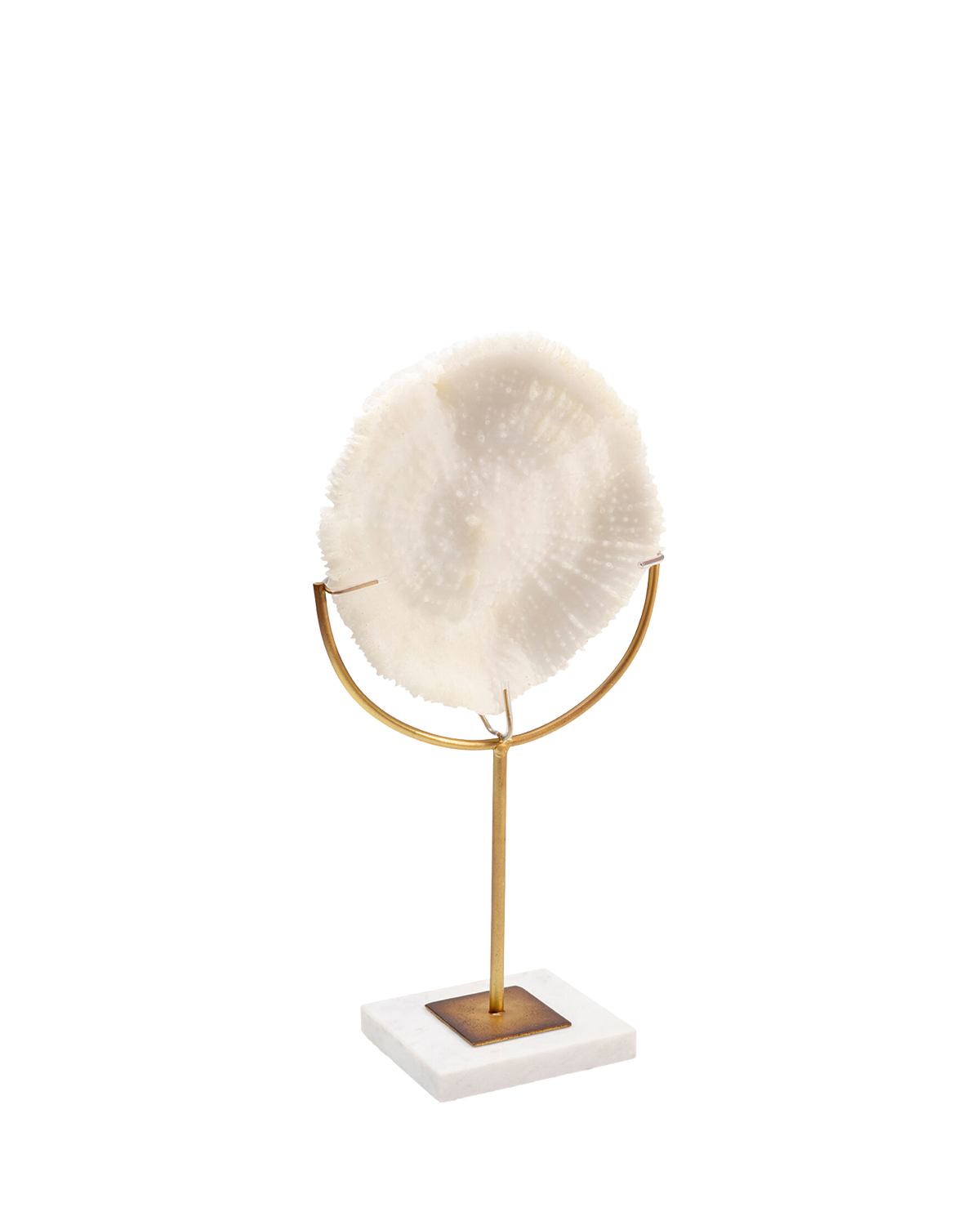 Deco Object Coral 39cm, Pynt