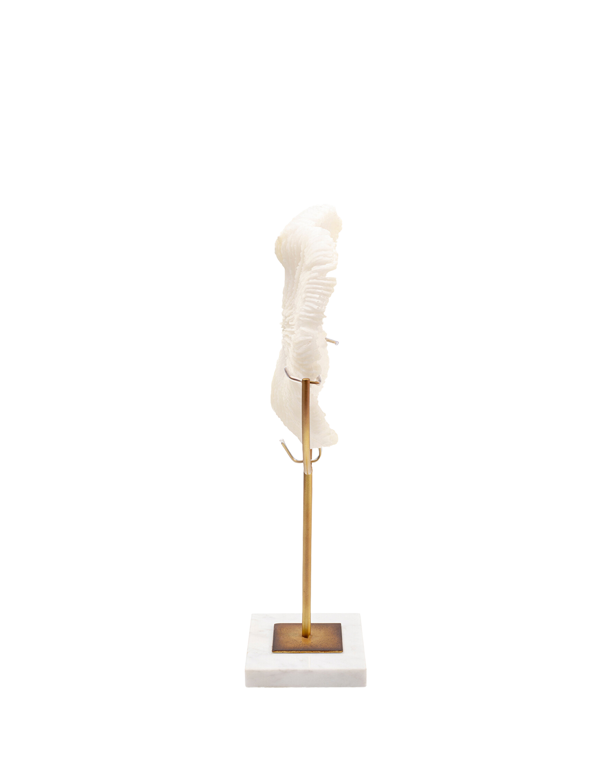 Deco Object Coral 39cm, Pynt
