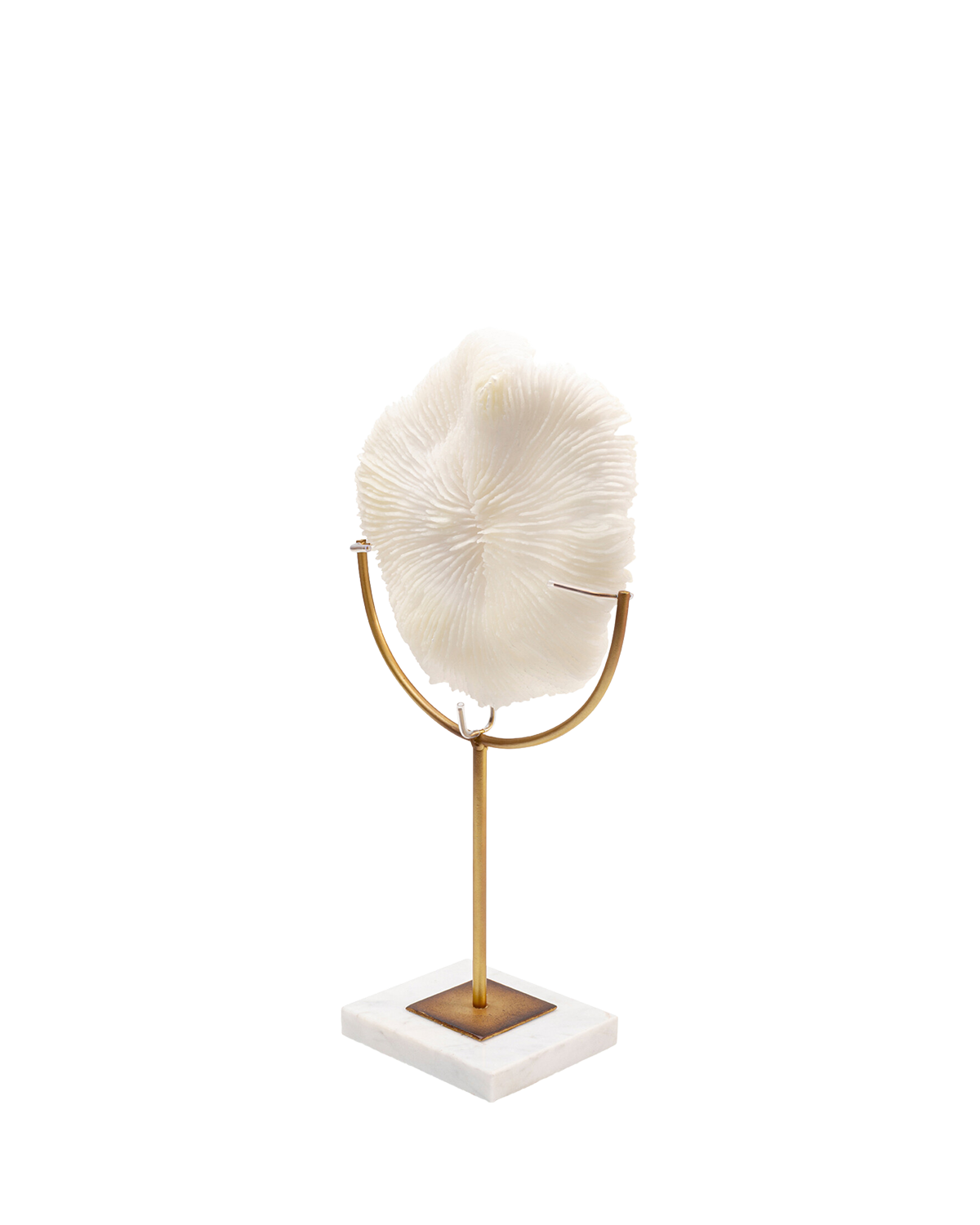 Deco Object Coral 39cm, Pynt