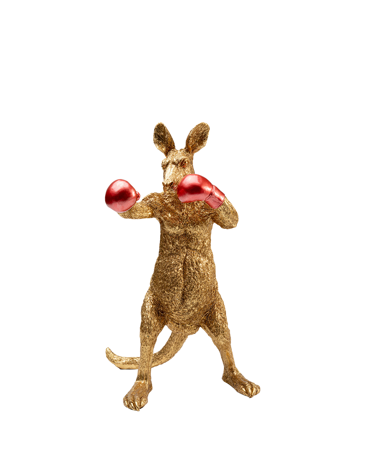 Kangaroo Boxer, Pynt
