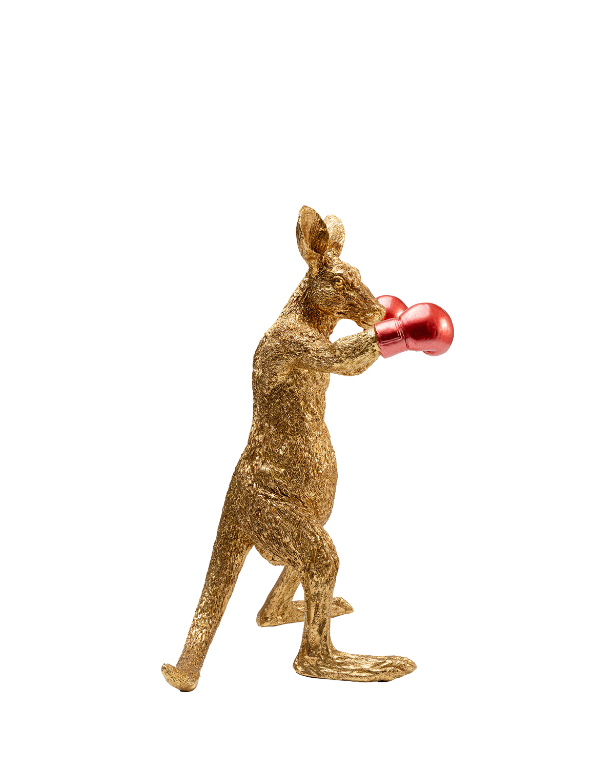Kangaroo Boxer, Pynt