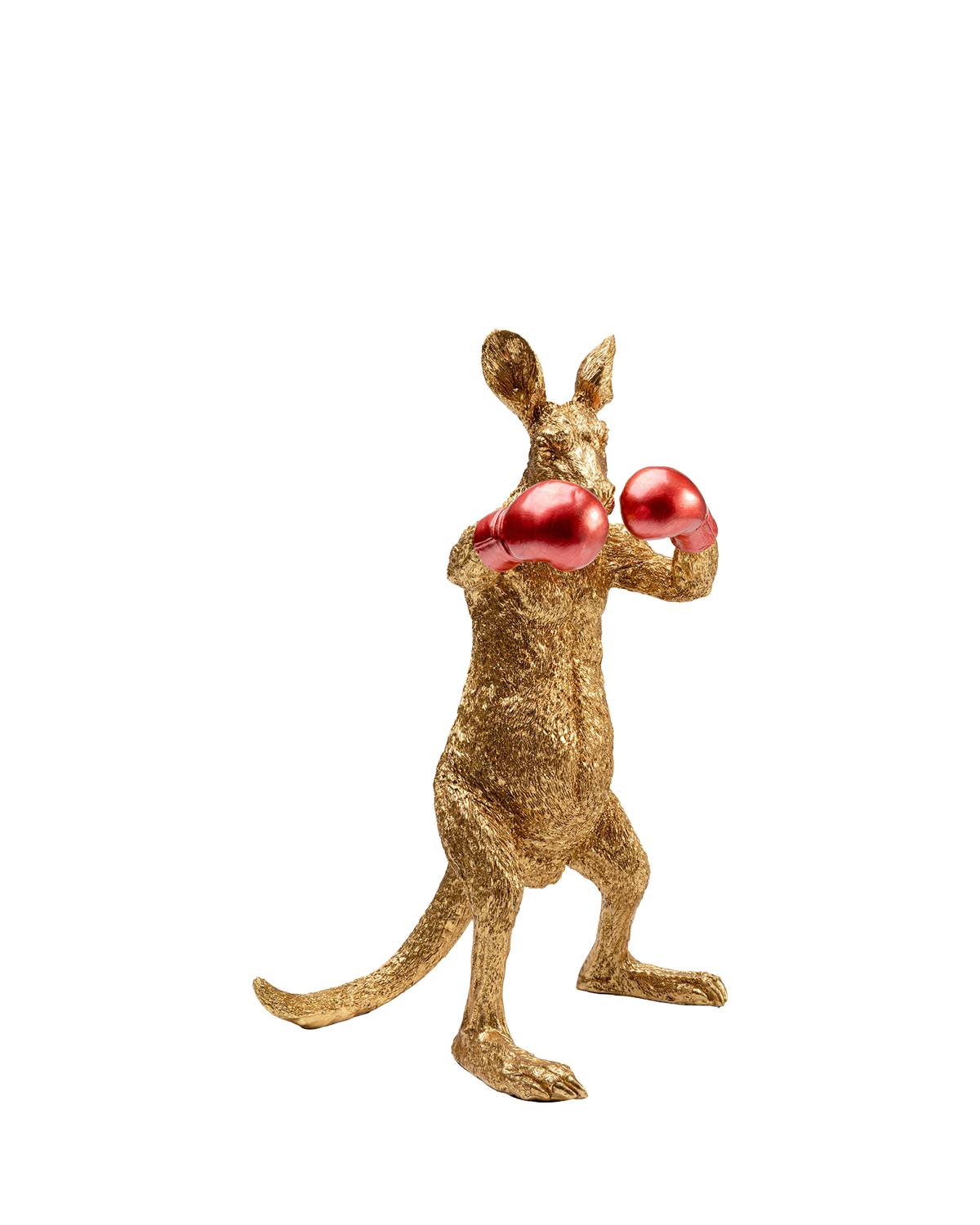 Kangaroo Boxer, Pynt