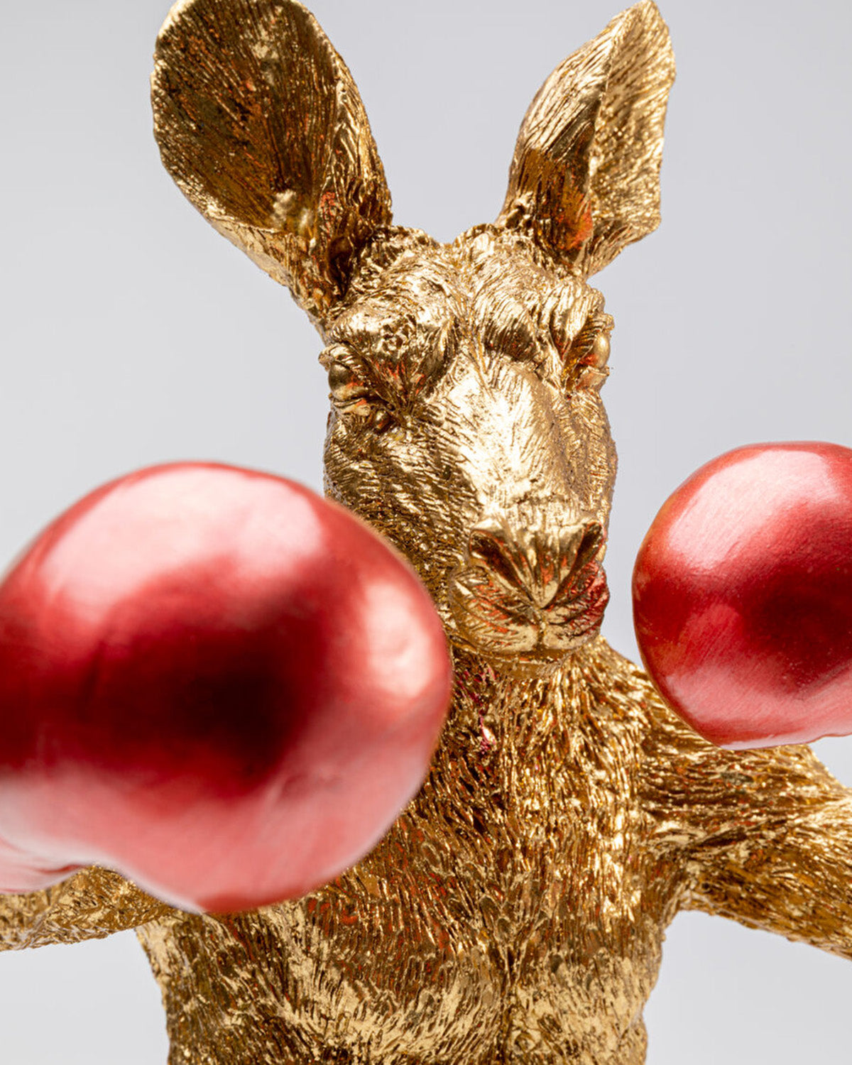 Kangaroo Boxer, Pynt