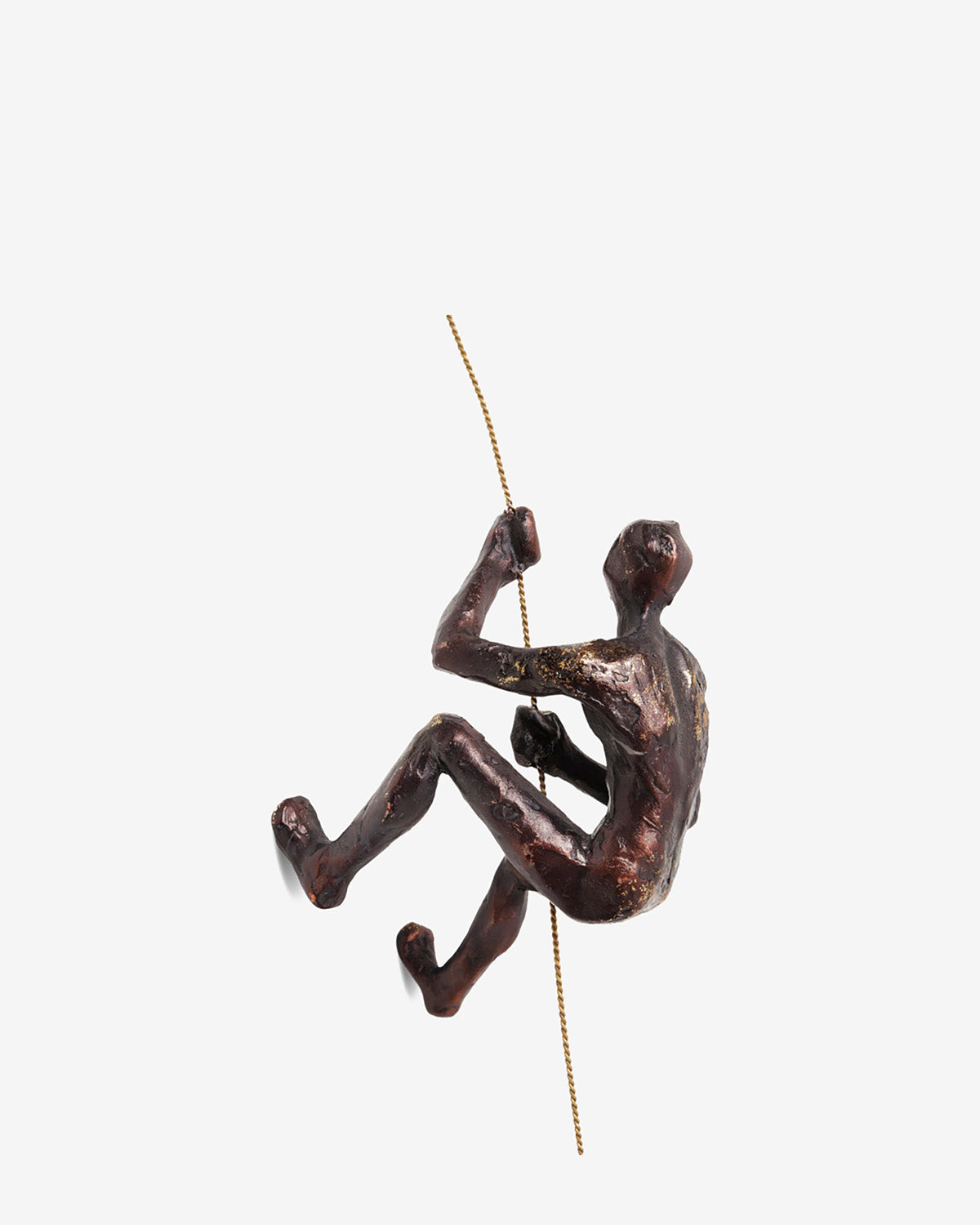 Bjergbestiger på wire