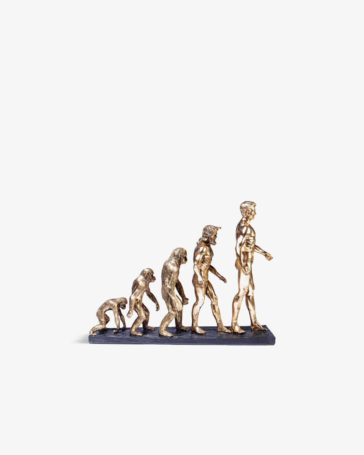 Evolution deco figur