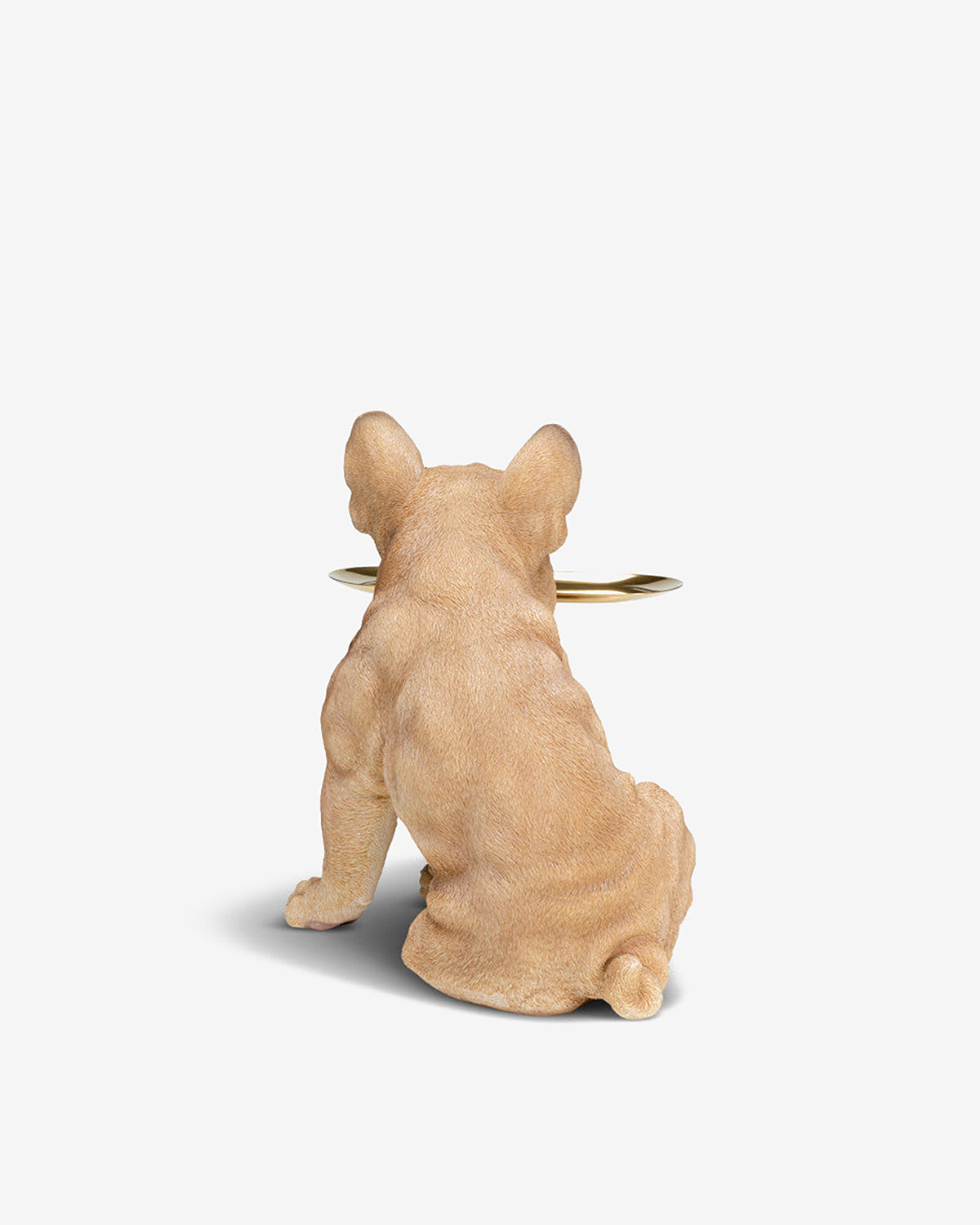 Butler Fransk bulldog m/bakke