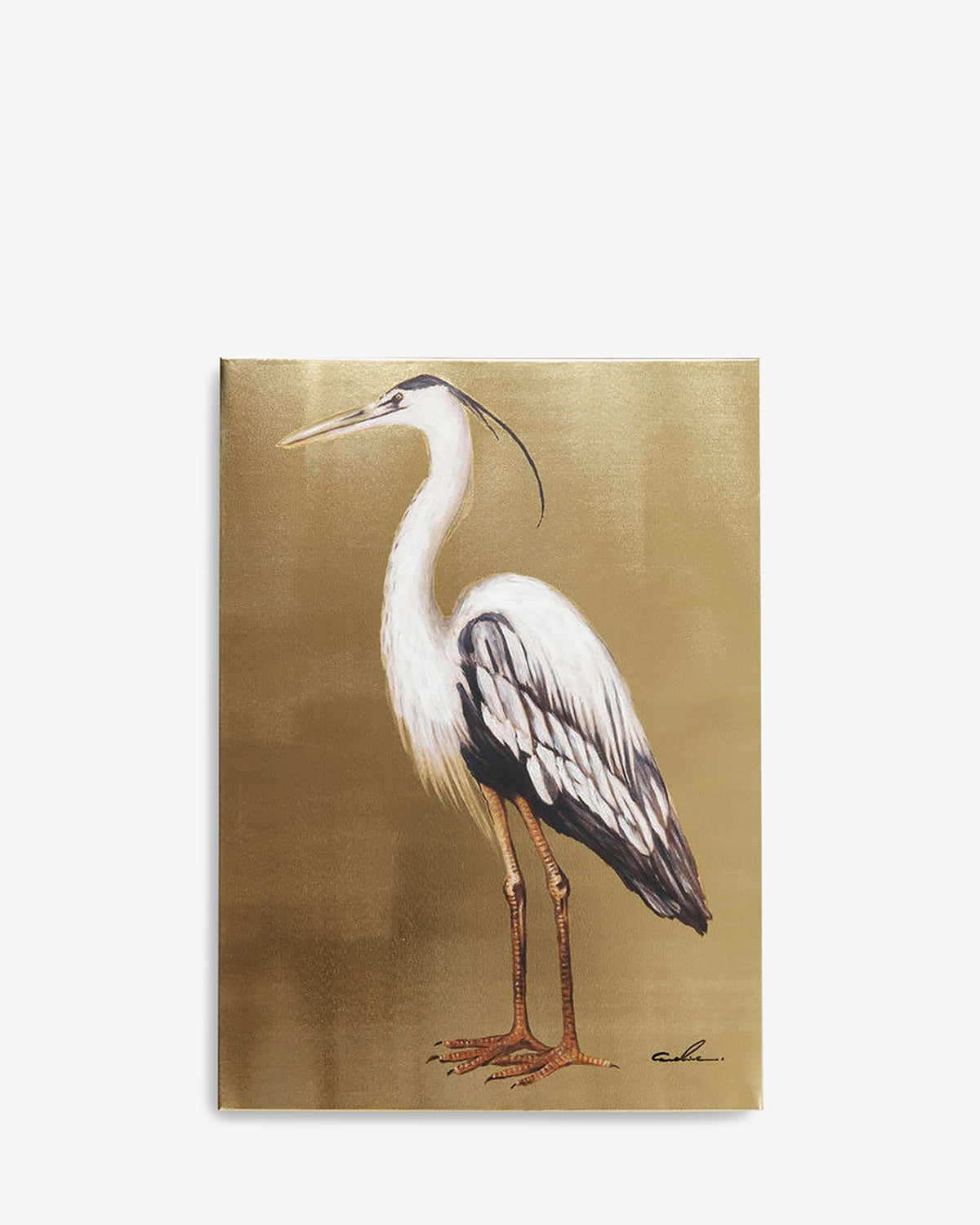 Touched Heron