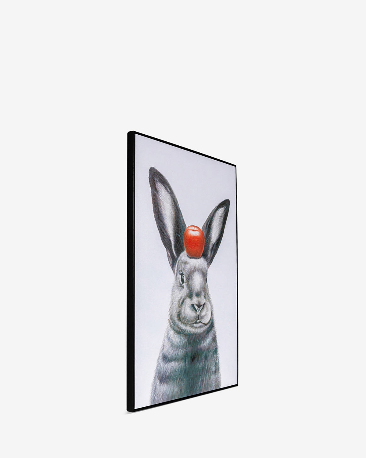 Kanin med æble galleri