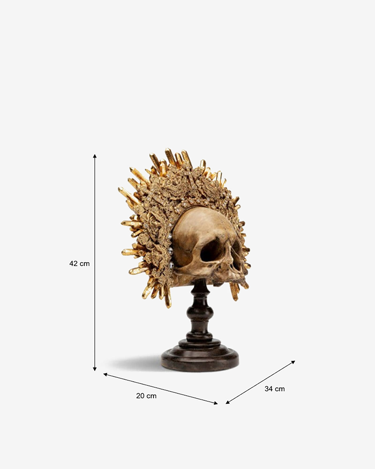 King skull