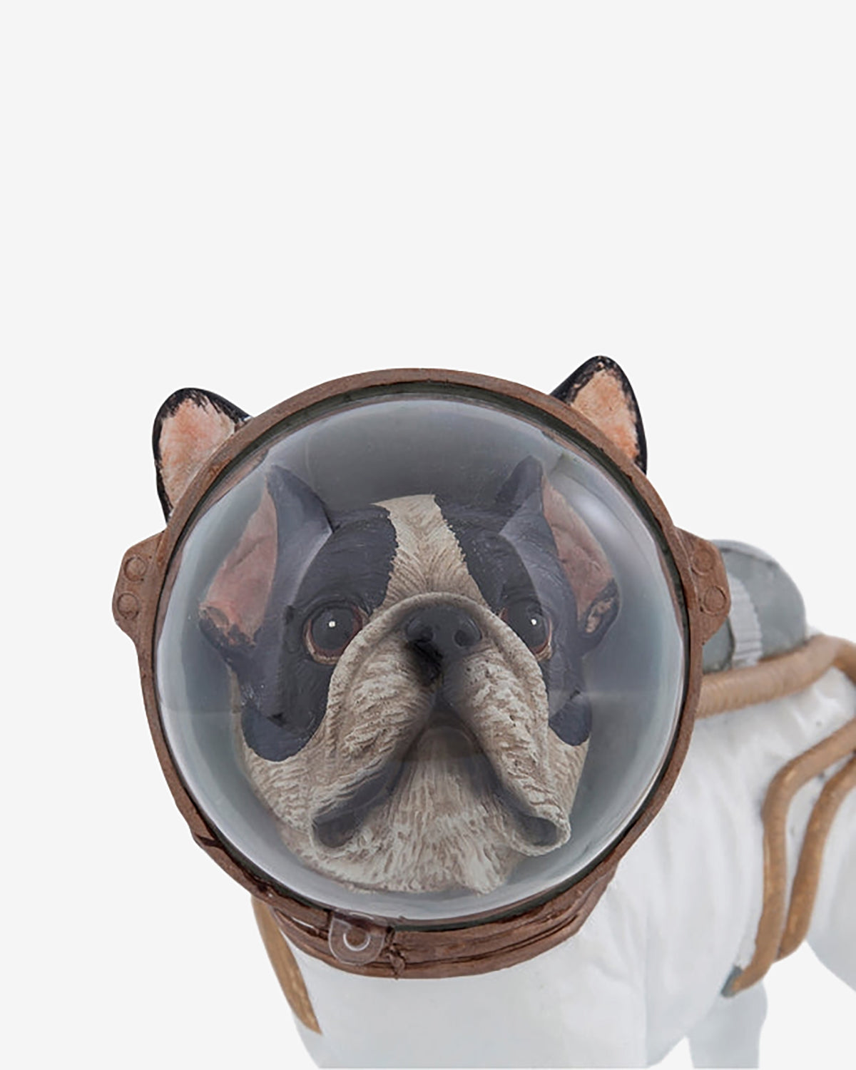 Astronaut hund
