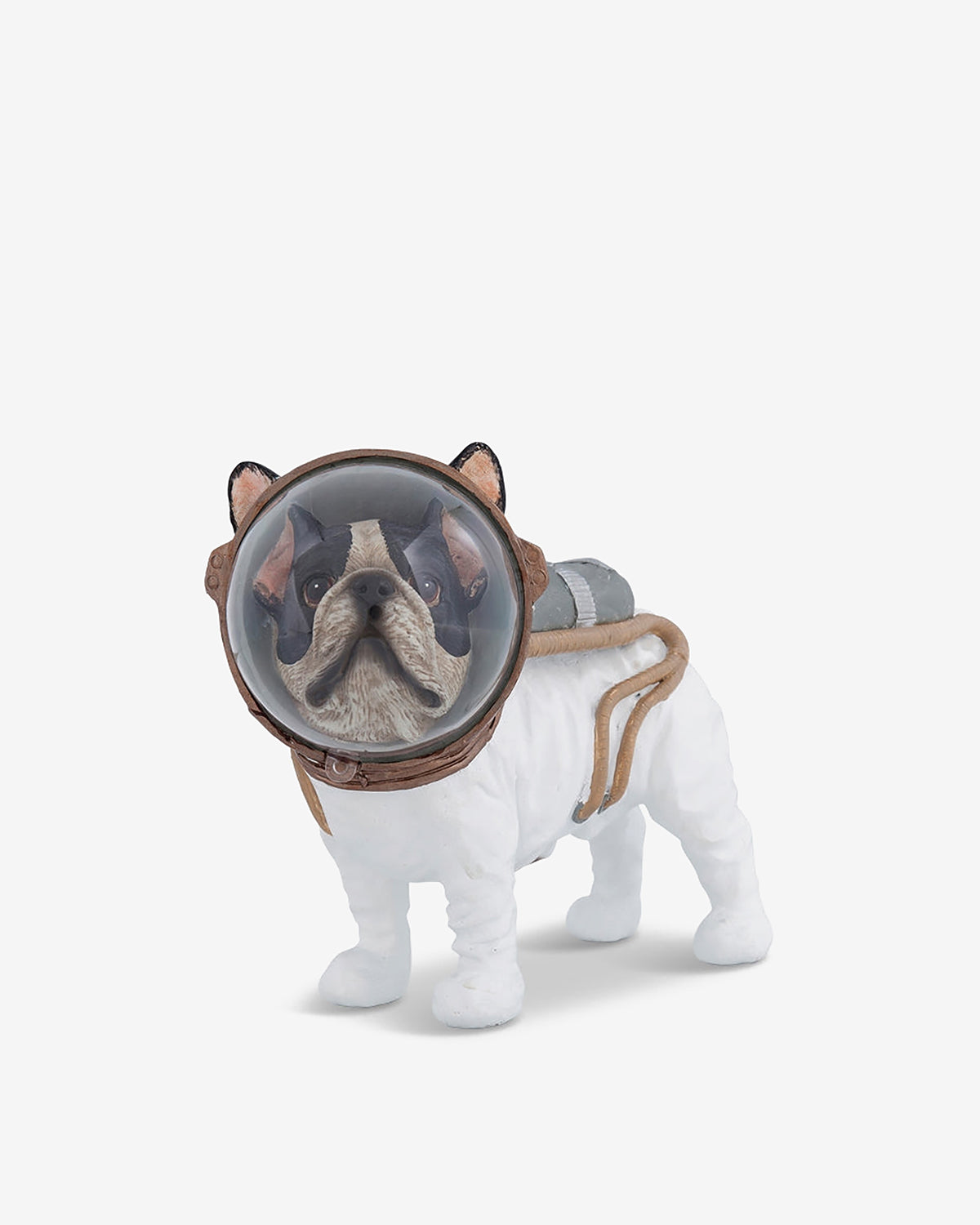 Astronaut hund