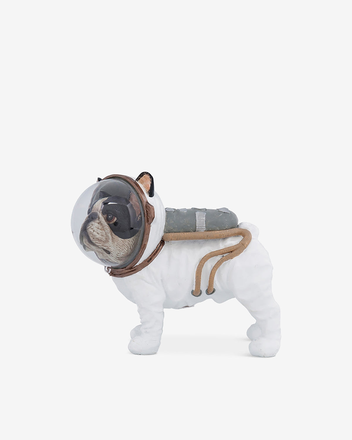 Astronaut hund