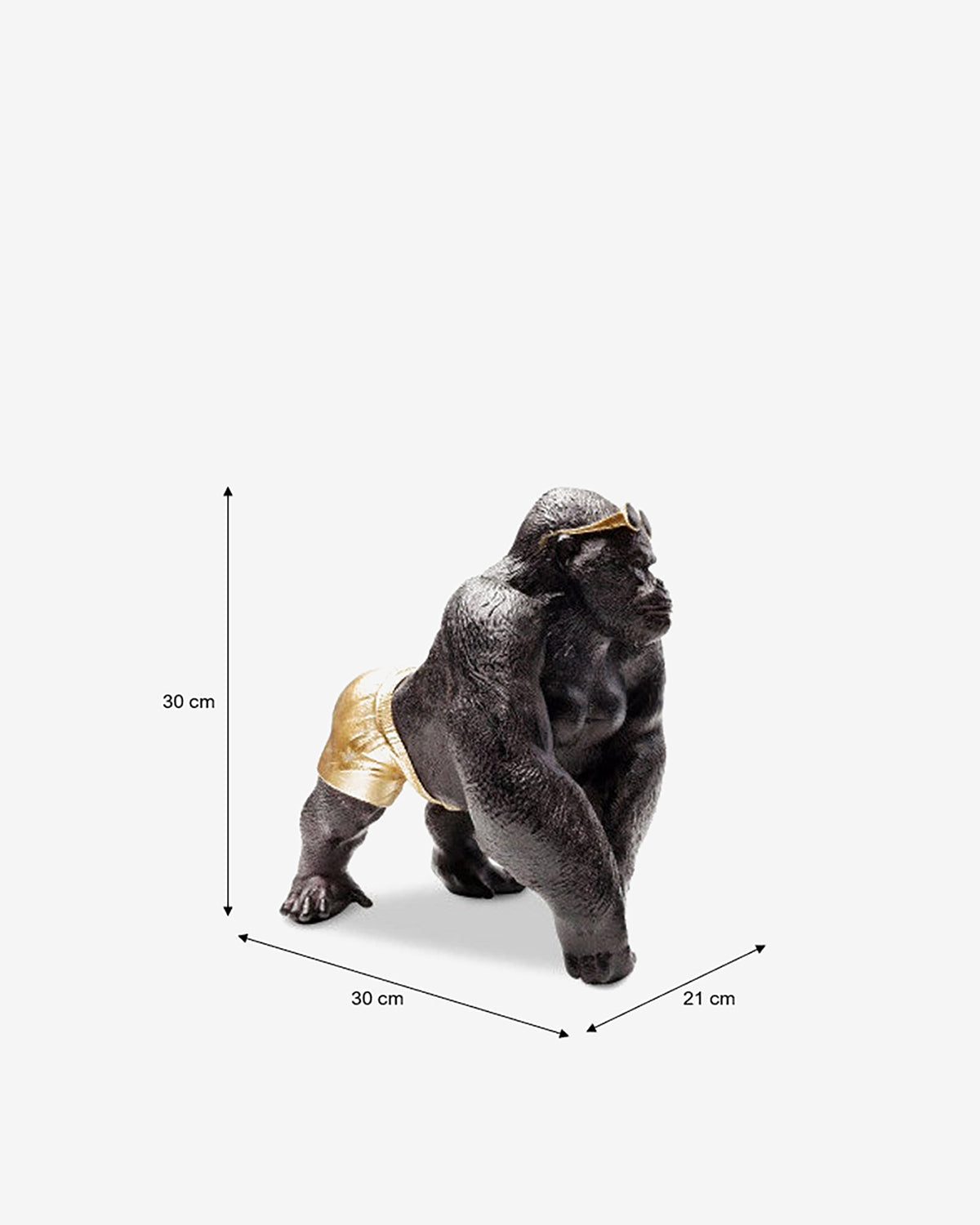 Gorilla på strandtur