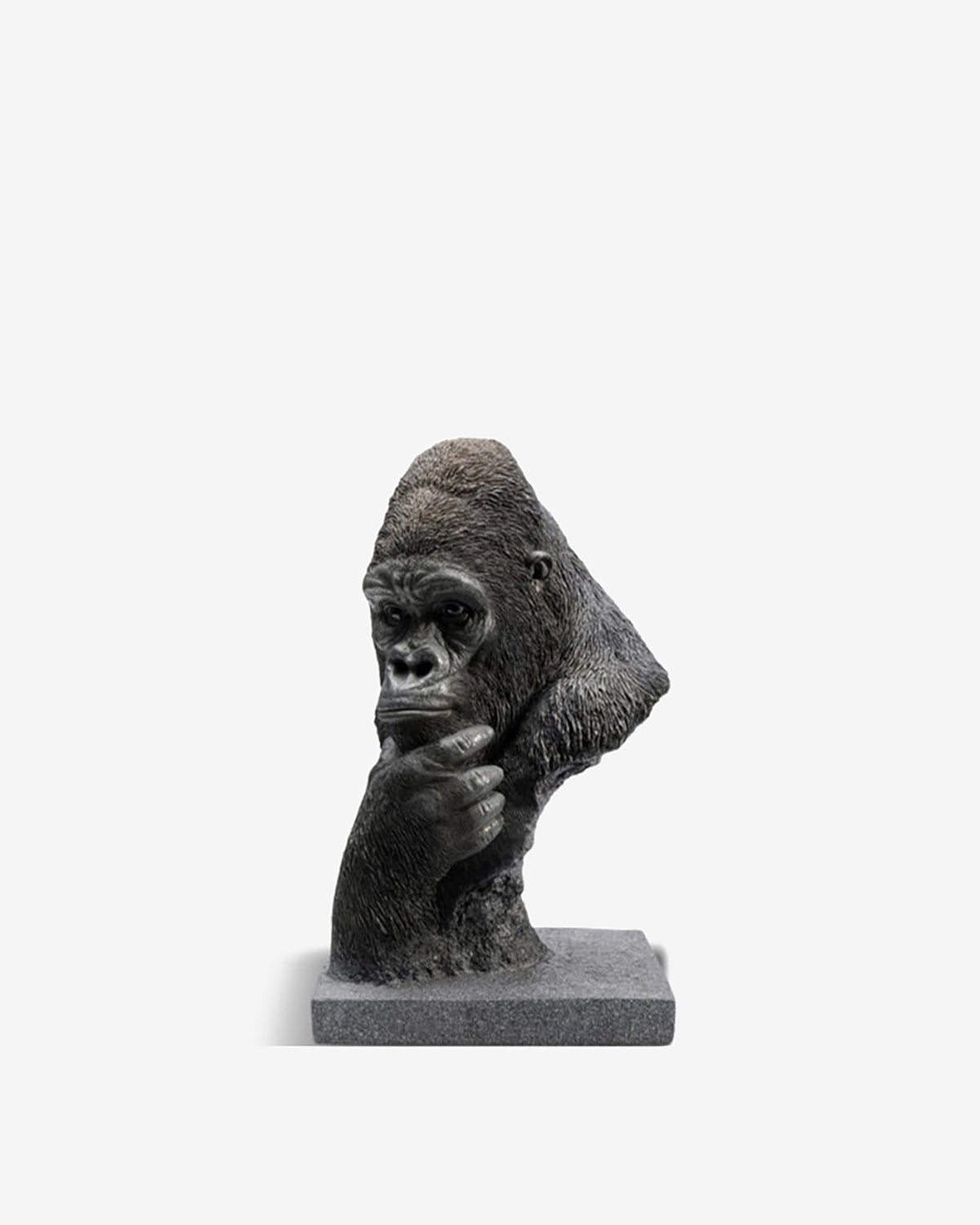 Thinking gorilla, buste