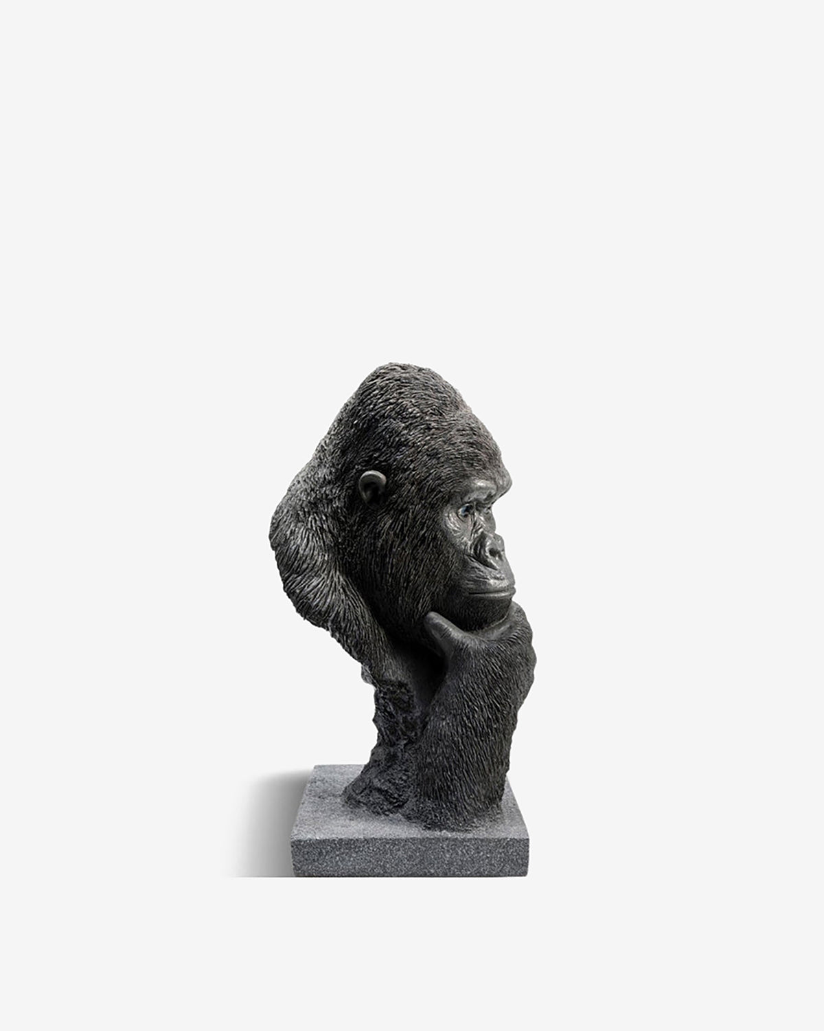 Thinking gorilla, buste