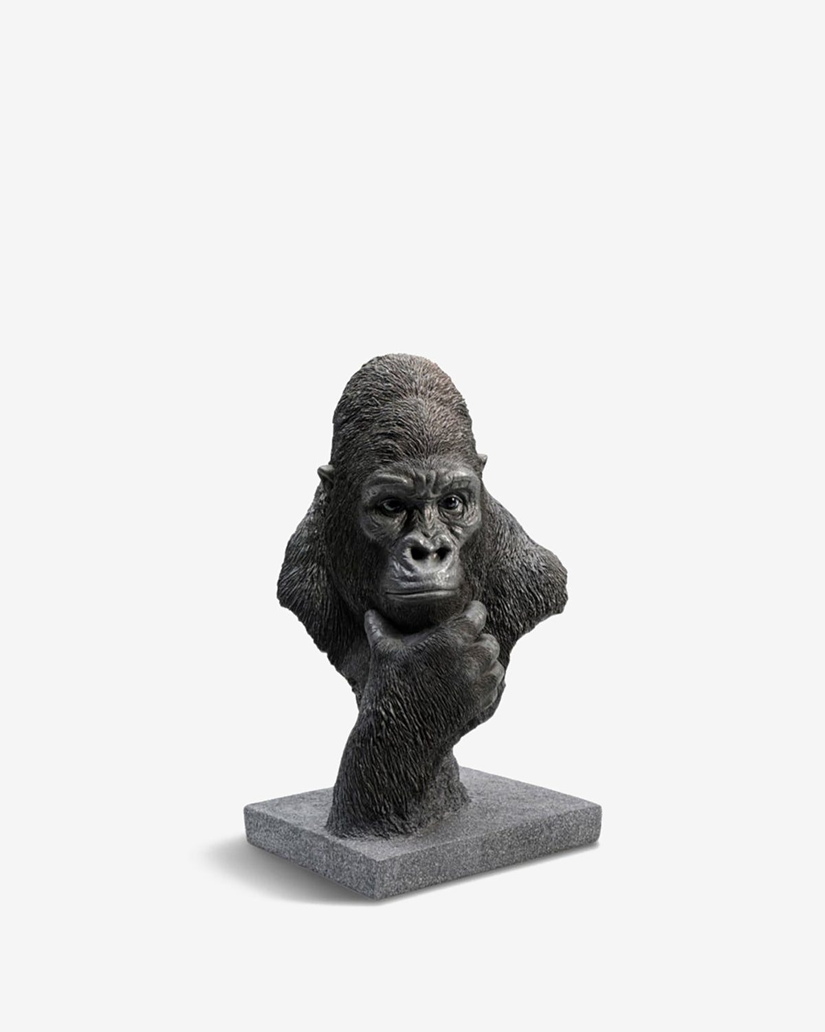 Thinking gorilla, buste
