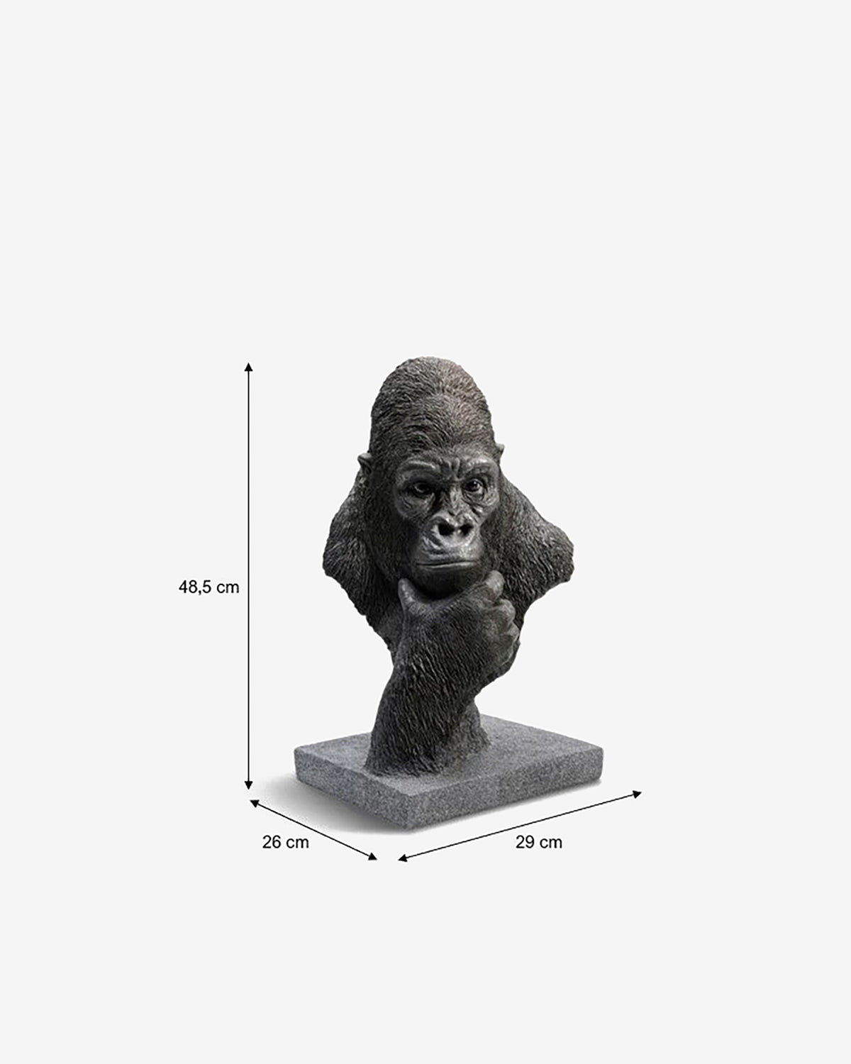 Thinking gorilla, buste
